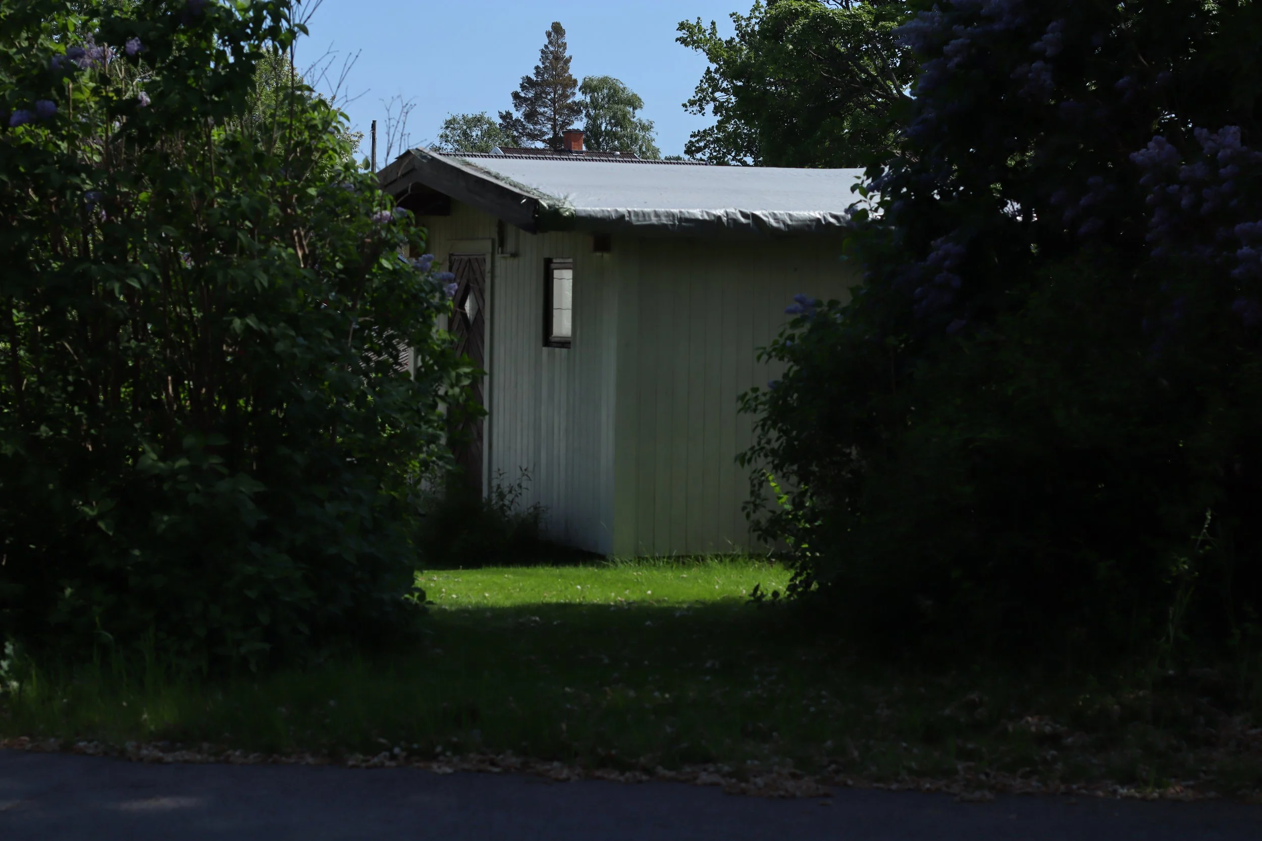 A house partially obscured by dense bushes and trees with a bright blue sky in the background.