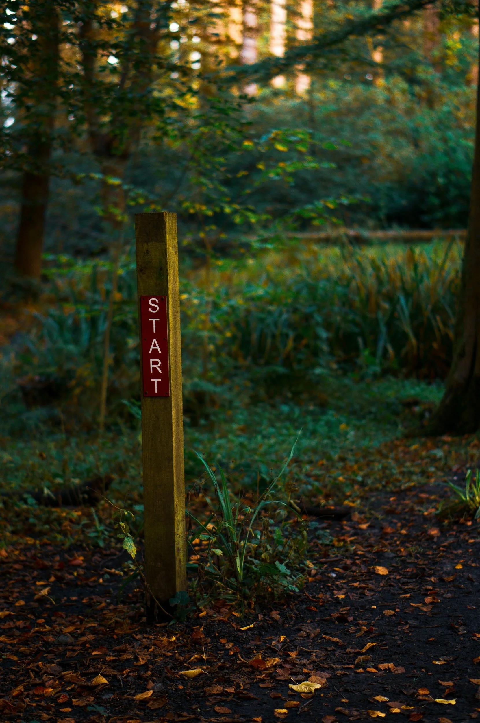 Getting Started in the Collaborative Divorce Process