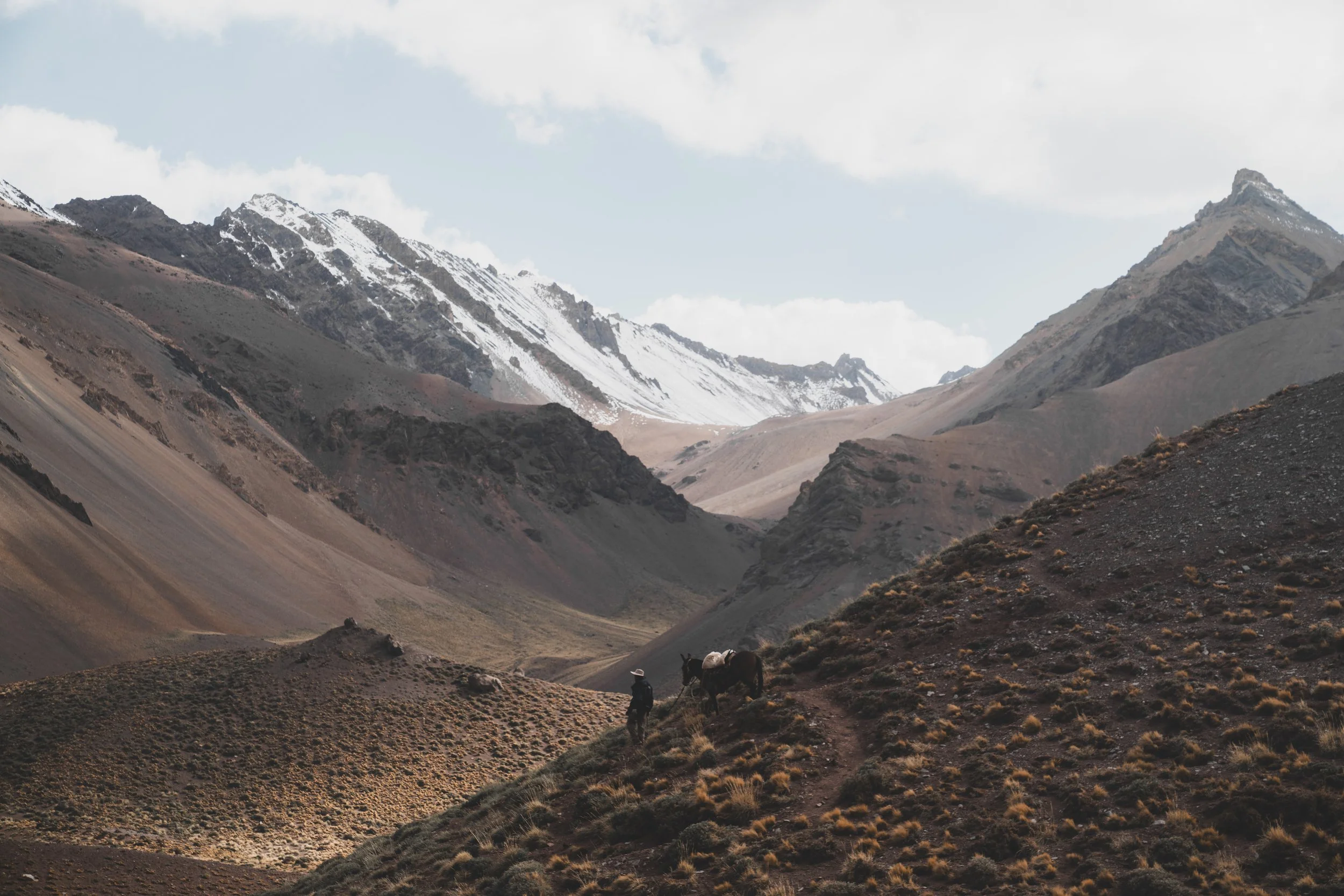 _A7R8720.jpg