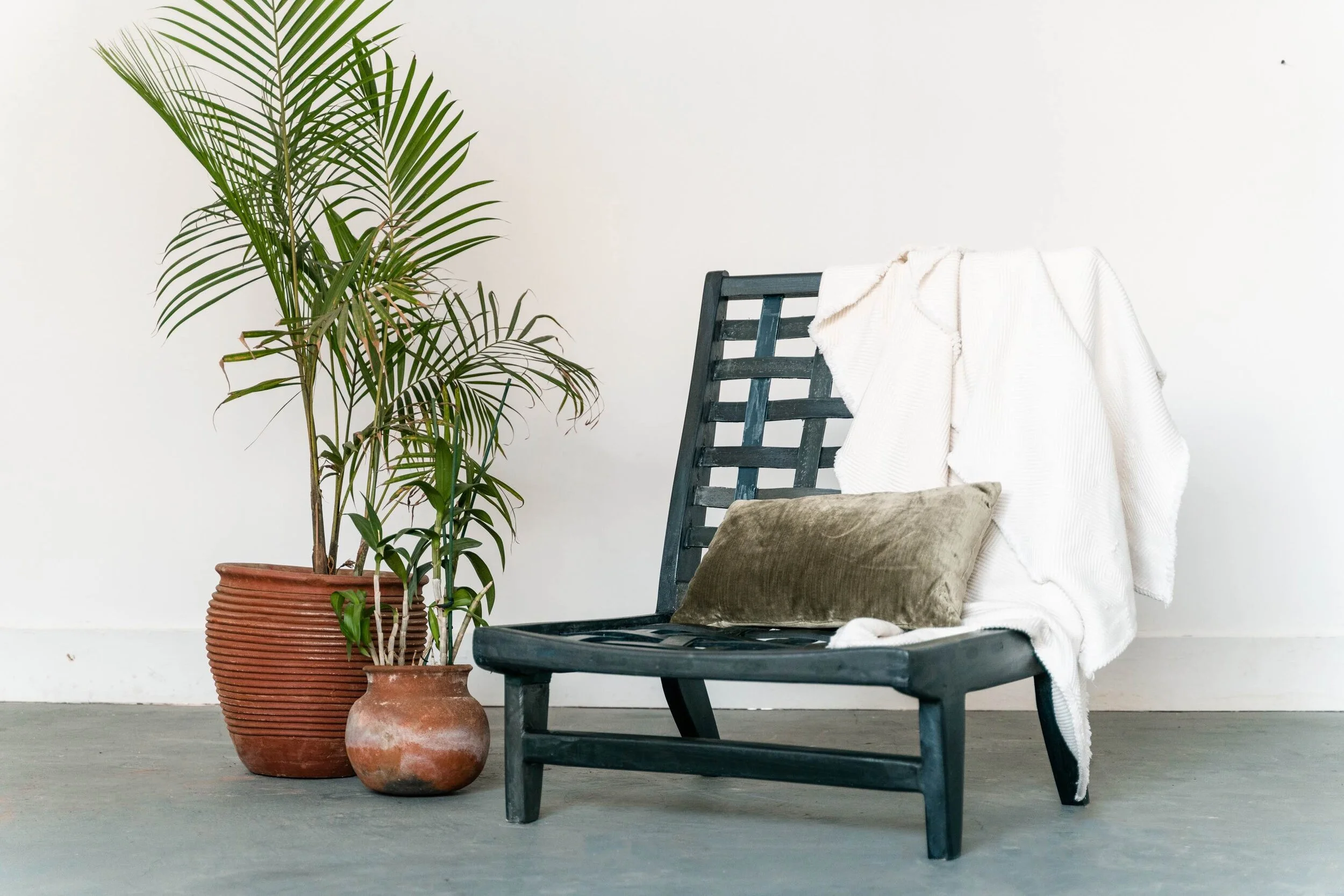 A black wooden chair with a white blanket draped over the backrest, a brown velvet pillow on the seat, positioned on a grey concrete floor next to two large terracotta pots with green indoor plants, against a plain white wall.