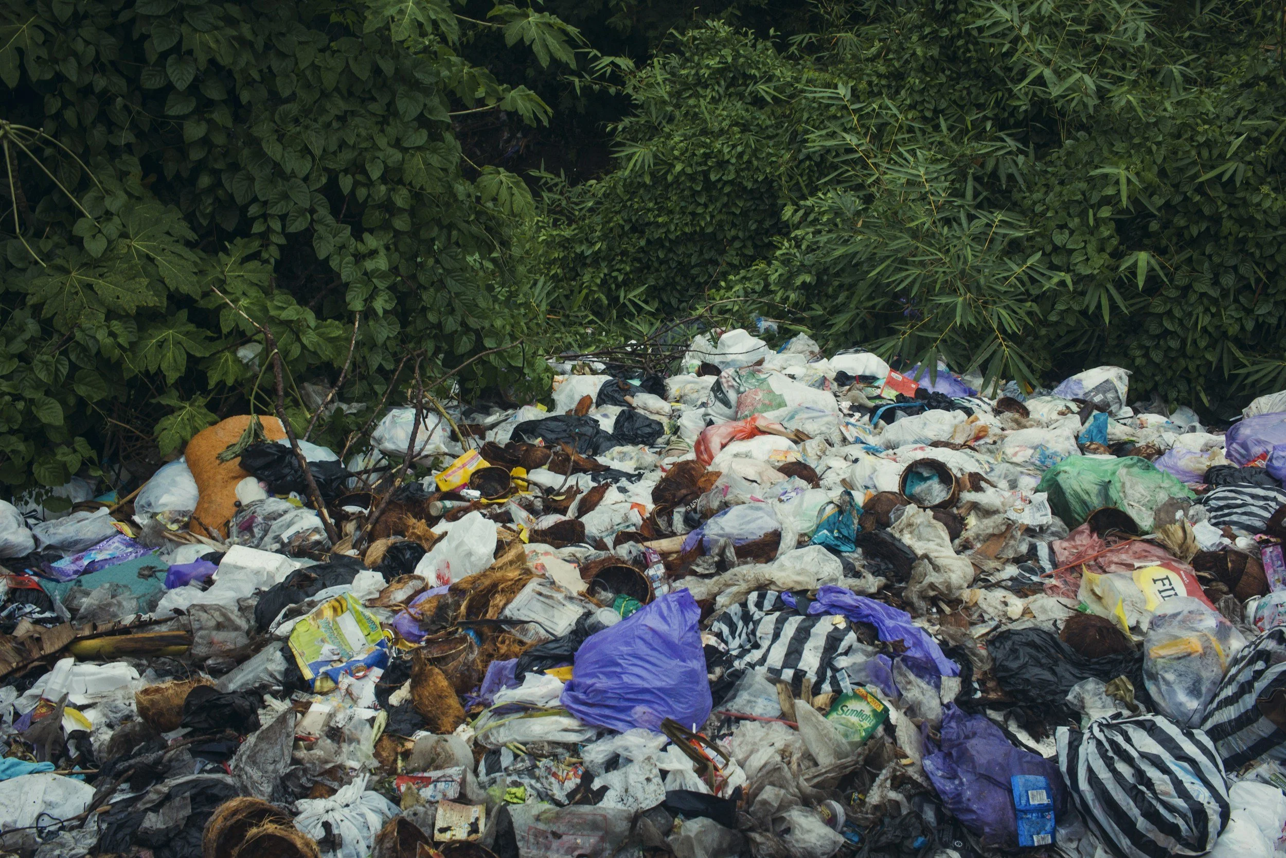 A large pile of various trash and garbage, including plastic bags, bottles, and paper, situated among dense green foliage.