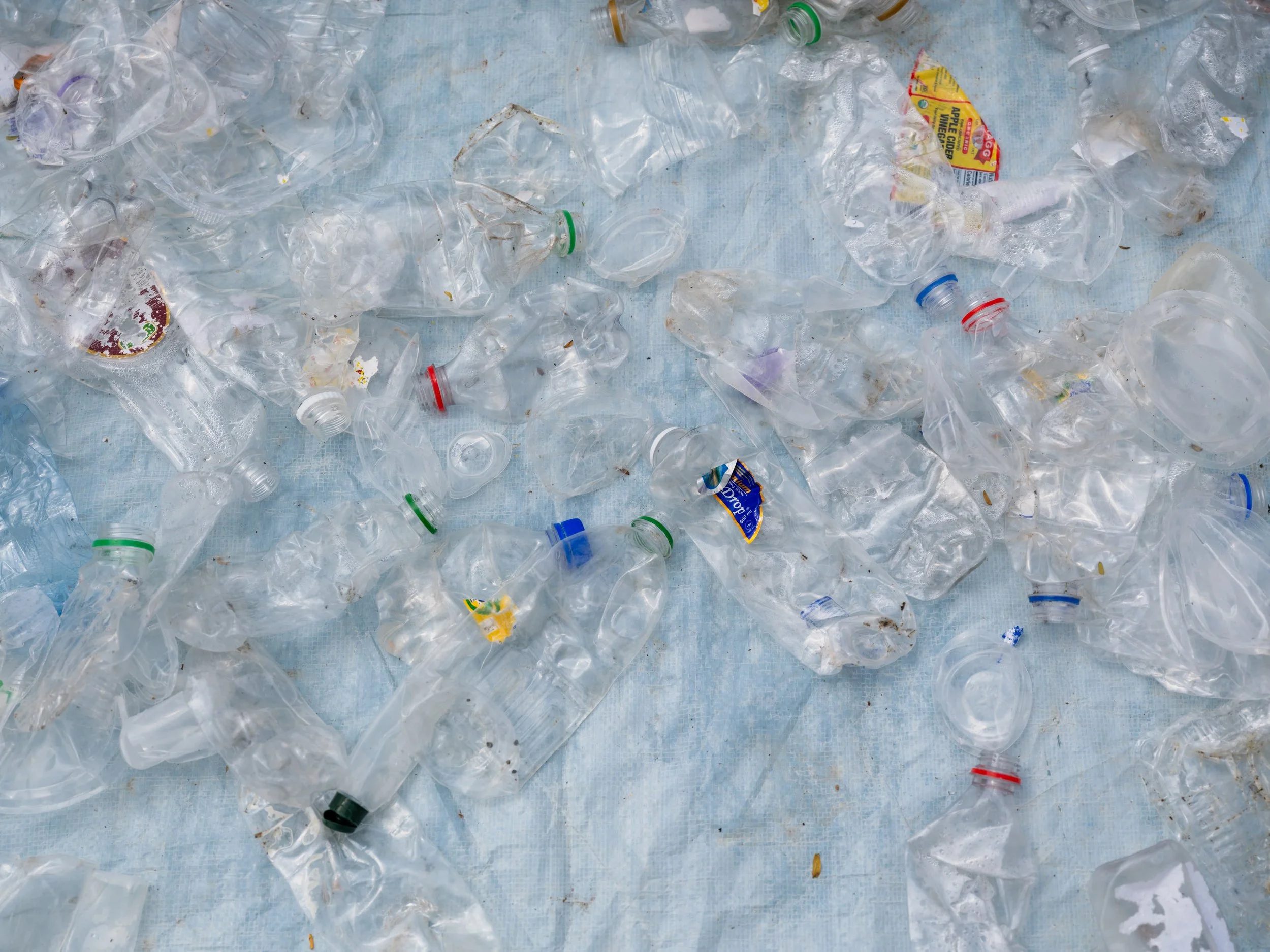 Scattered plastic water bottles on a light blue surface.