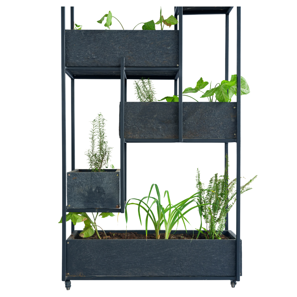 Plant-dividers-2.png