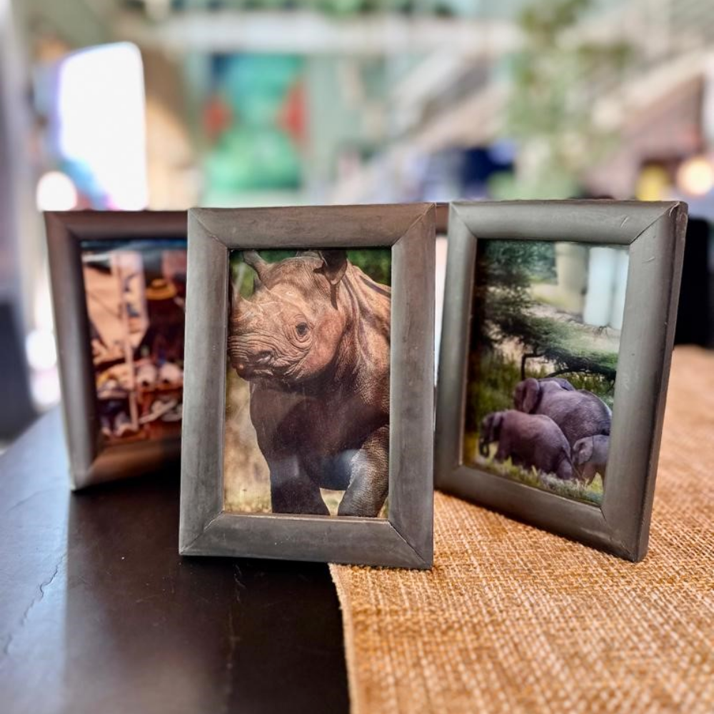 Photo Frame