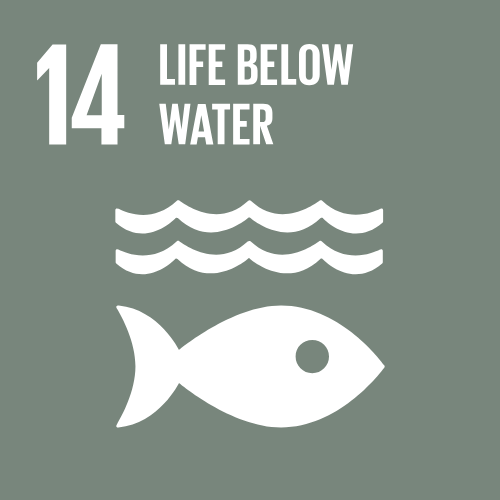 Intercepting plastic before it enters waterways and coastal ecosystems