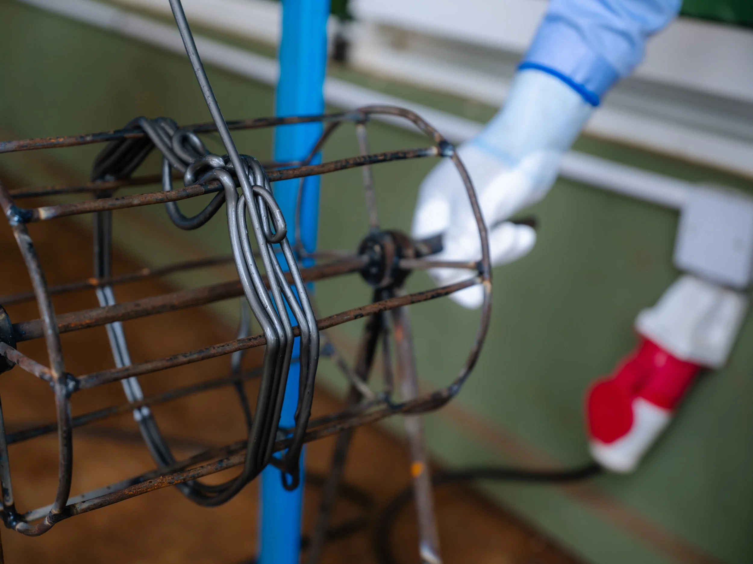 Close-up of a rusty bicycle basket with a silver chain inside, mounted on a blue bike frame, with a person wearing a light blue glove and red polka-dot footwear in the background.
