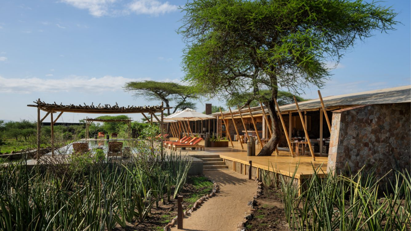 Outdoor lounge area with wooden deck, lounge chairs, large umbrella, surrounded by greenery and trees in a rural setting under a blue sky.