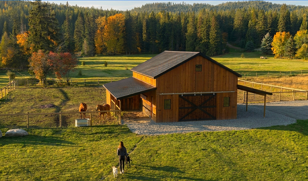 A woman walking with two dogs on a grassy field near a wooden barn, with horses inside a fenced area, surrounded by trees with fall foliage.