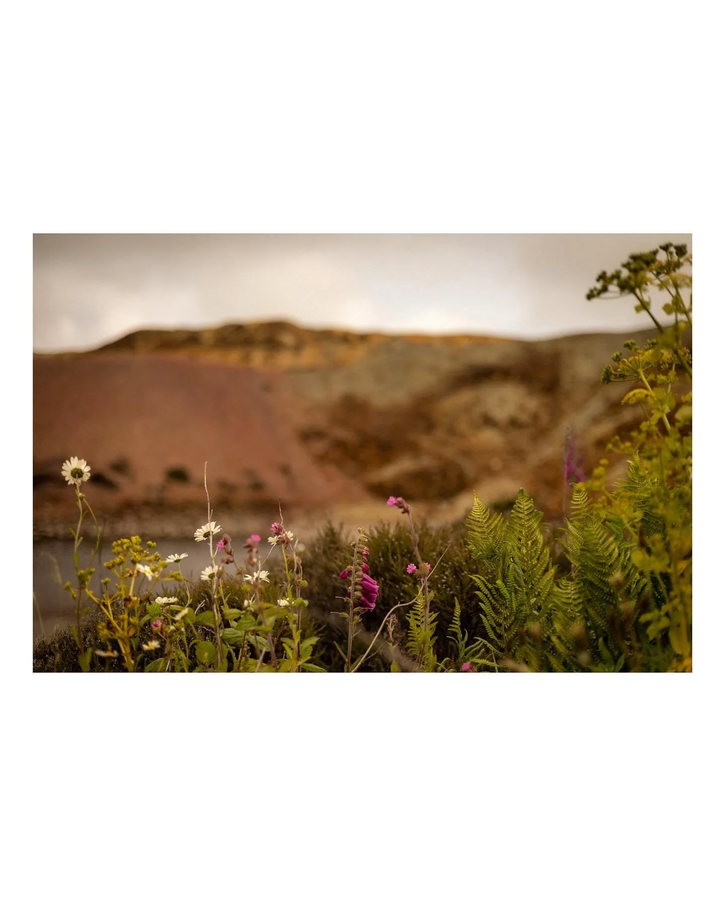 Exploring Parys Mountain

#canonr6markii #tamron24 #ef70200f4lisusm #rf50mmf18 #northwalestagram #visitcymru #ynysm&ocirc;n #justgoshoot #frontphotography #uk_shooters #rentalmag #capturewales #thewalescollective #pixsoulfeed #ifyouleave