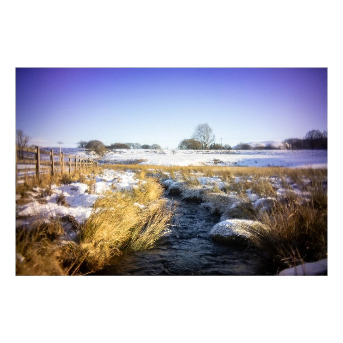 Some more shots with the r6 and @pocketdispo combo

#canonr6markii #pocketdispo #frontphotography #capturebritain #exploreobserveshare #pixsoulfeed #visityorkshire #yorkshiredales #uk_shooters #rentalmag #ifyouleave #snowday #justgoshoot #naturegram 