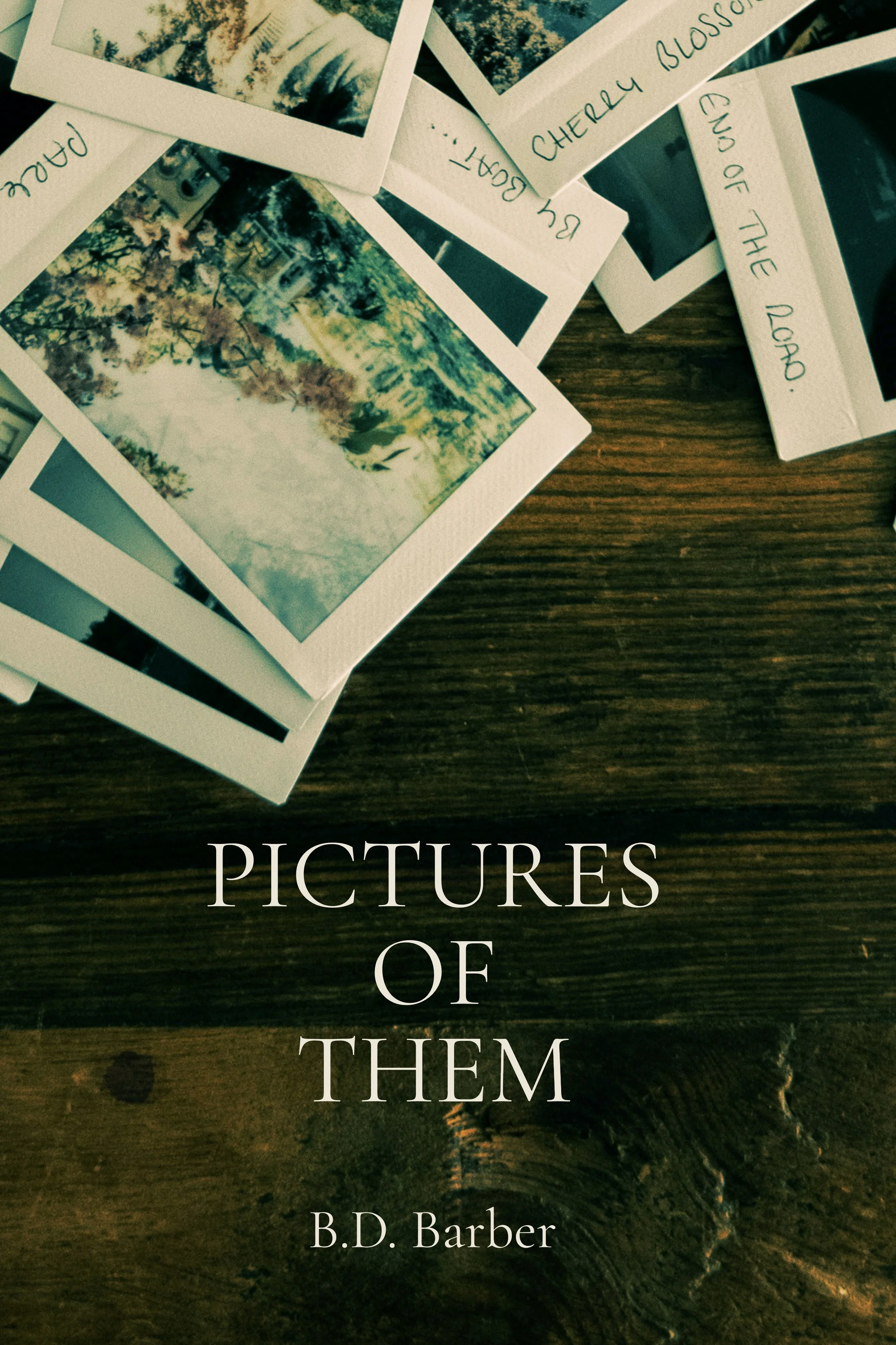 Pictures of Them (softcover)