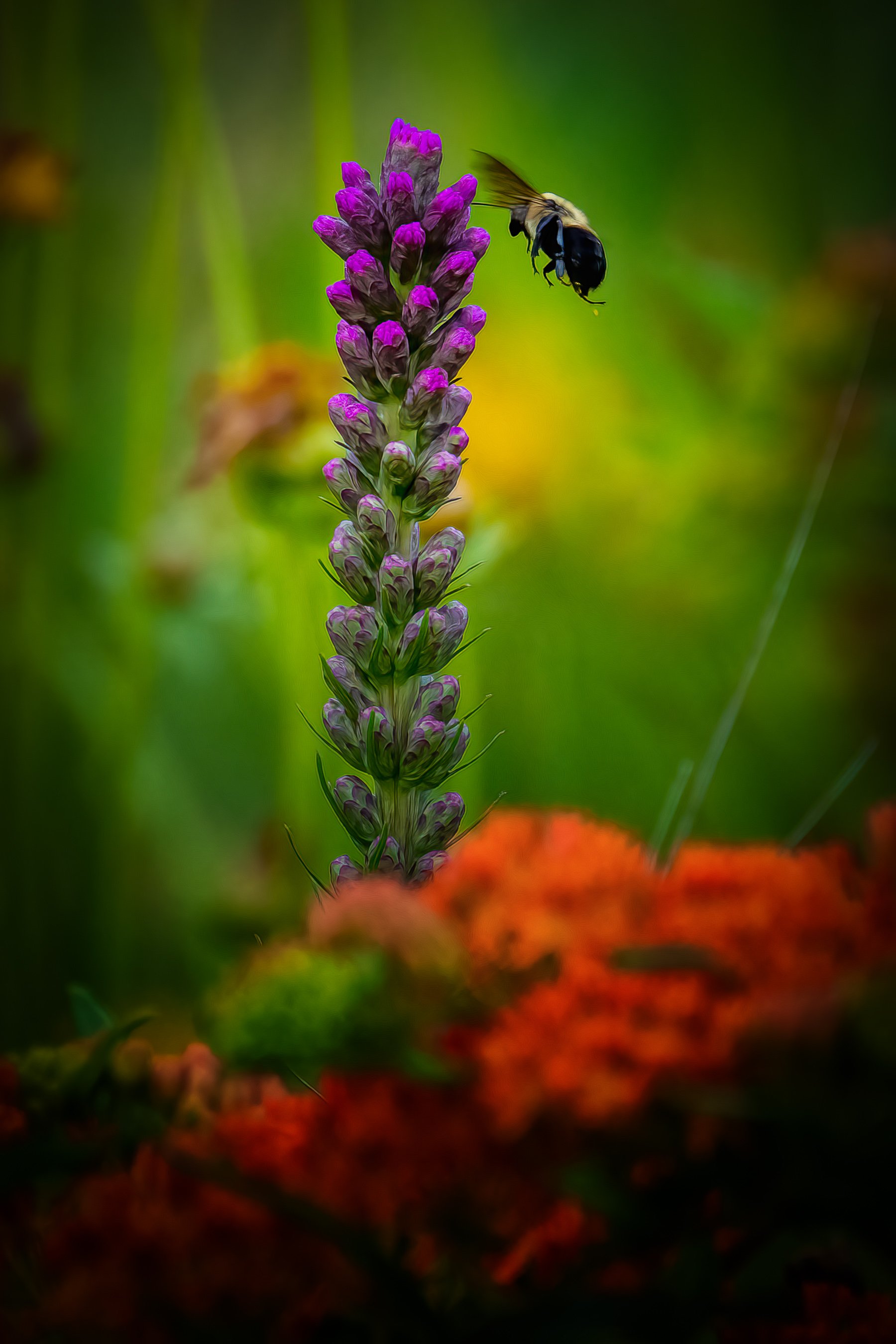 Pollination Powers the Planet