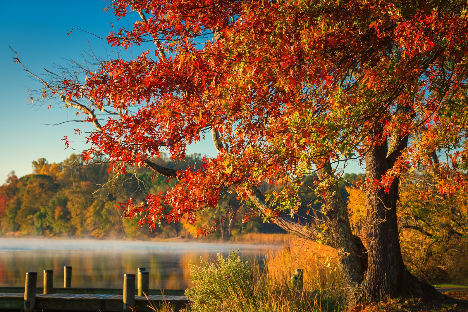 Autumn Is My Favorite Color