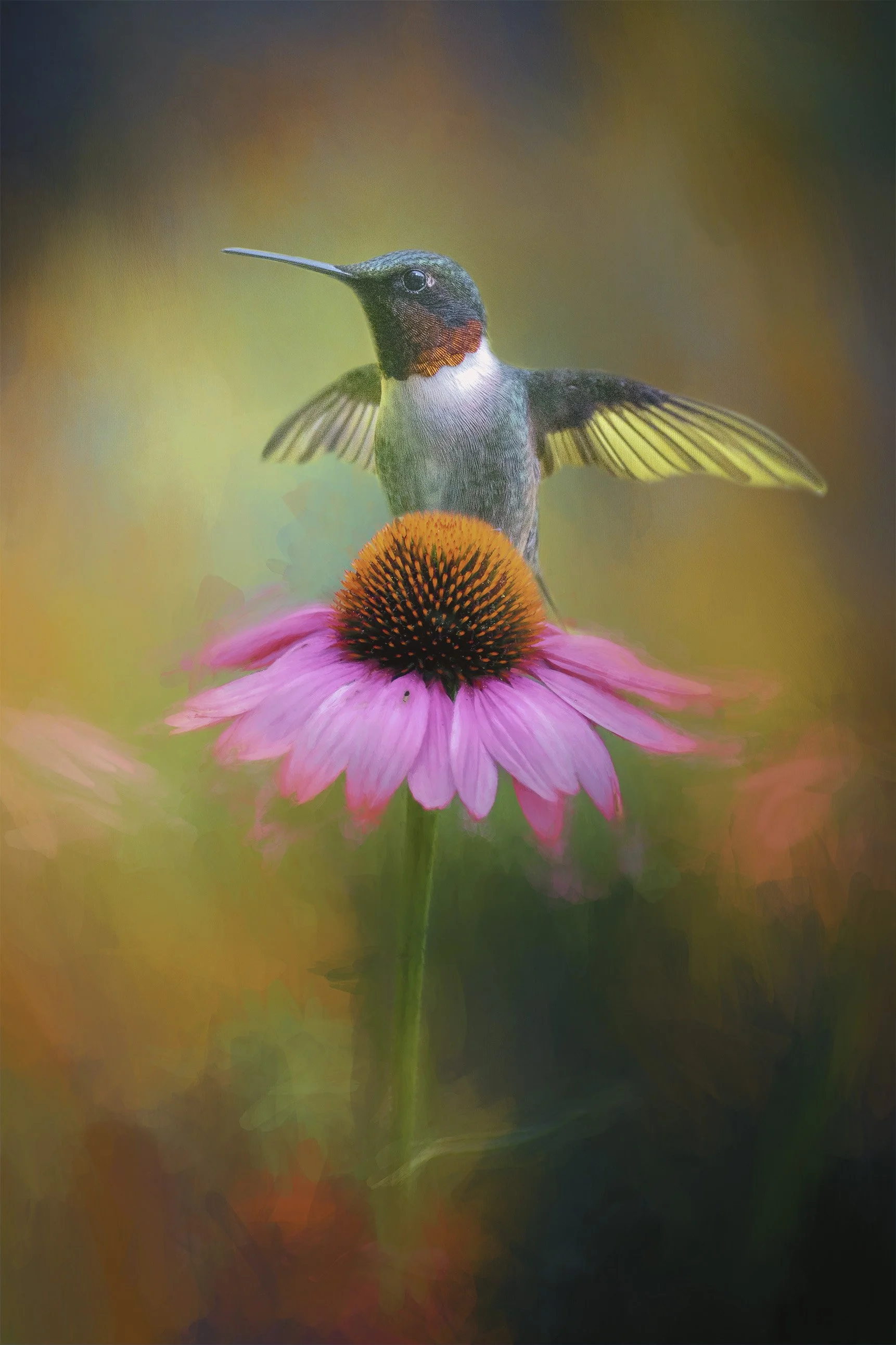 Flying Solo
