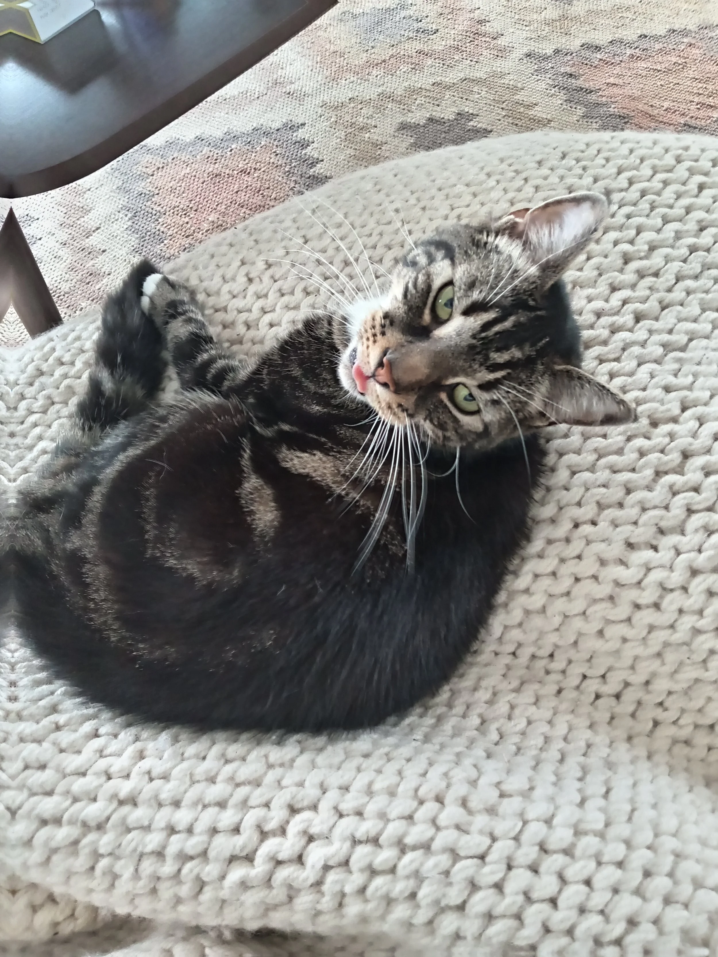 A tabby cat lying on a knitted beige blanket with its head turned to the camera, showing green eyes, pink nose, and tongue sticking out slightly.