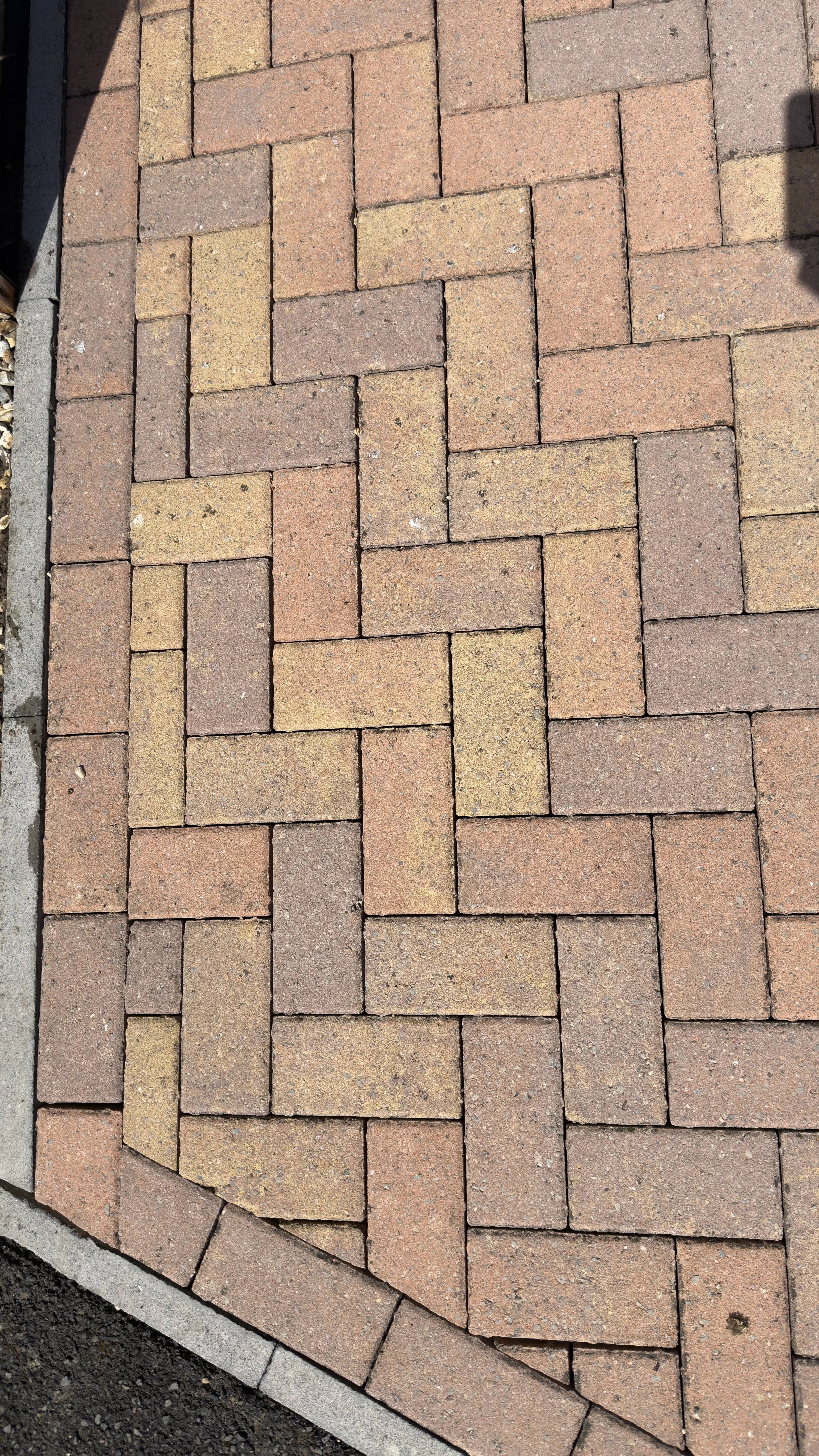 Close-up photograph of a brick-paved sidewalk with a decorative pattern. The bricks are in shades of red, yellow, and tan, arranged in a herringbone pattern, bordered by gray and black asphalt and concrete.