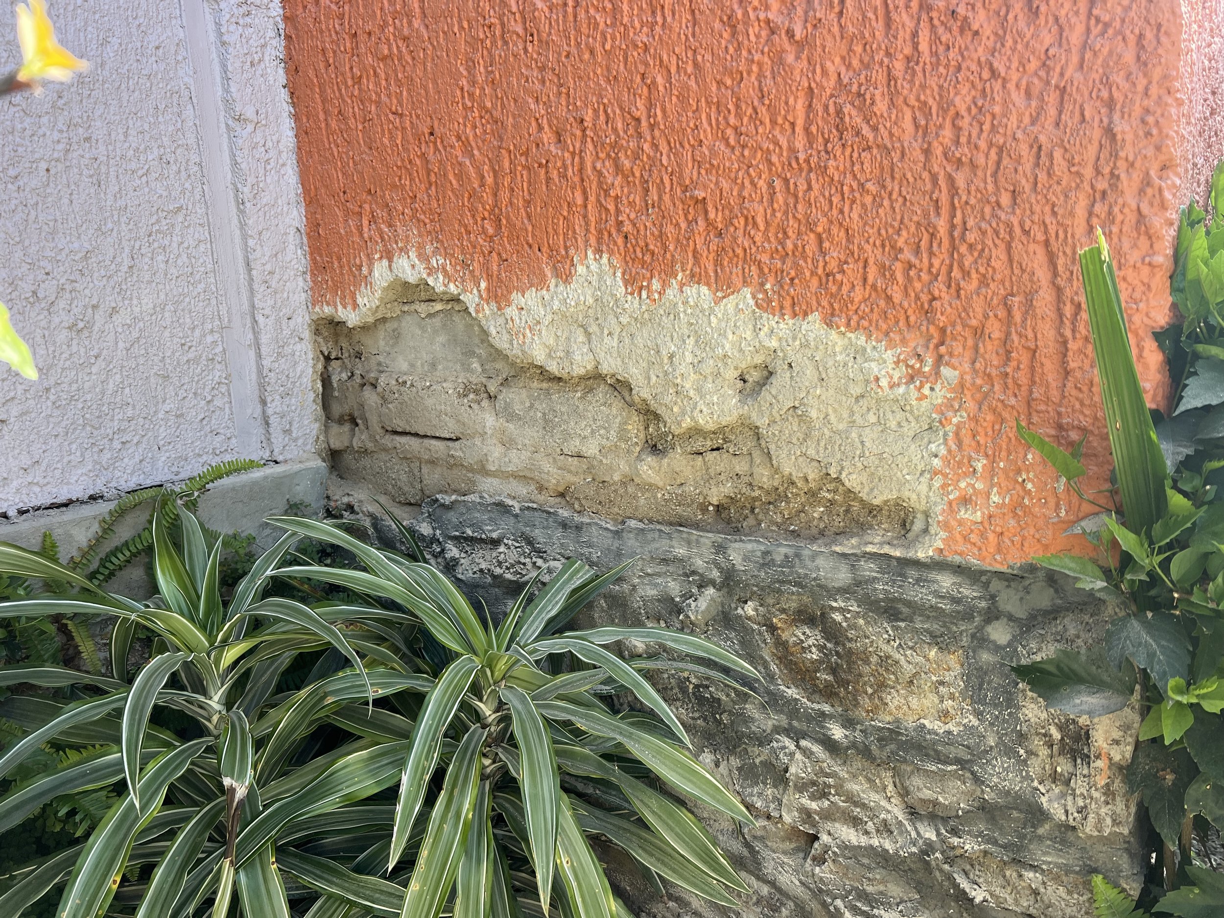 Close-up of a damaged section of an exterior wall with orange stucco over stone, surrounded by green plants.