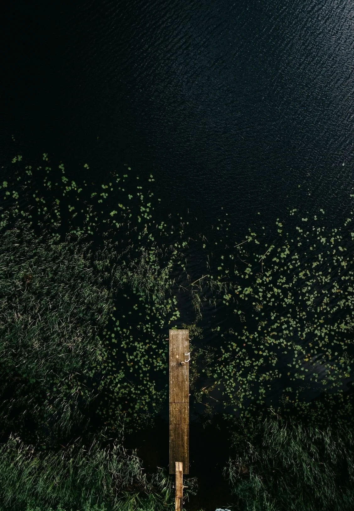 Overhead view of a wooden dock extending into a dark lake, with lily pads and green vegetation on both sides.
