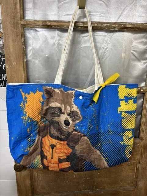 Star Lord and Rocket.jpg