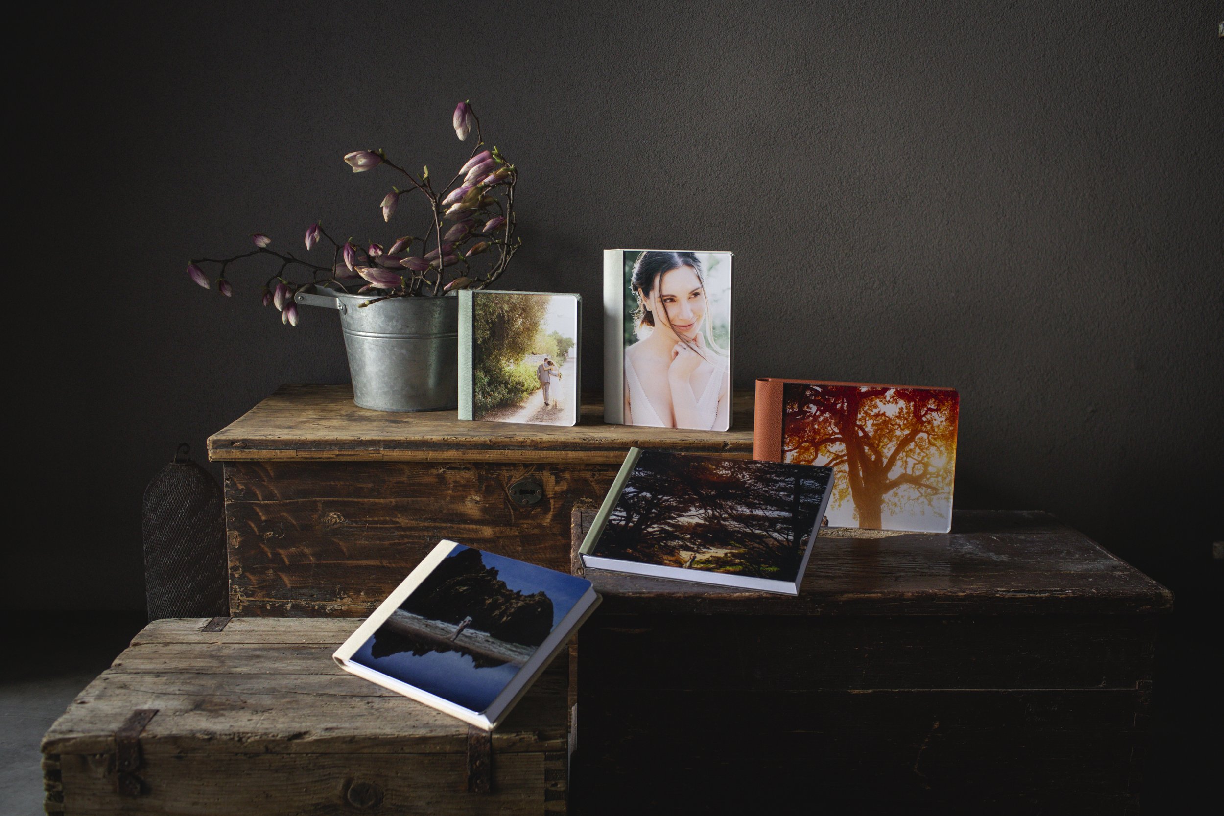Ein hölzerner Tisch mit mehreren offenen und geschlossenen Fotobüchern, einem Metall-Blumentopf mit einer Pflanze, und eine dunkle Wand im Hintergrund.