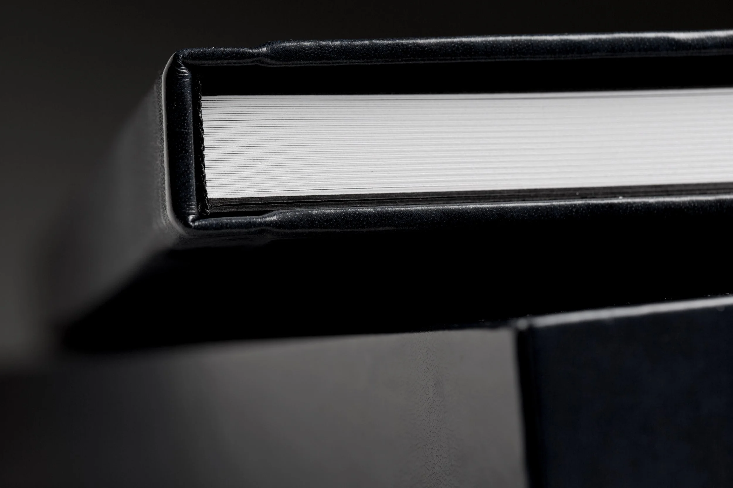 Maverick_Detail_Spine_Black.jpg