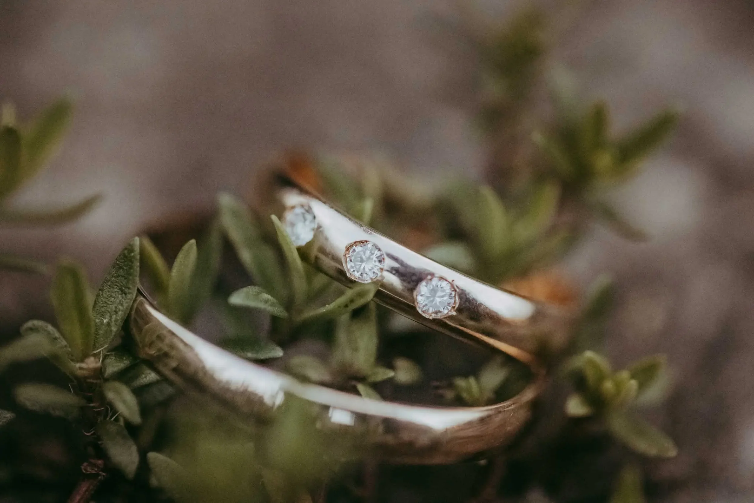 Eine Nahaufnahme eines Rings mit mehreren Diamanten, der auf einem grünen Strauch liegt.