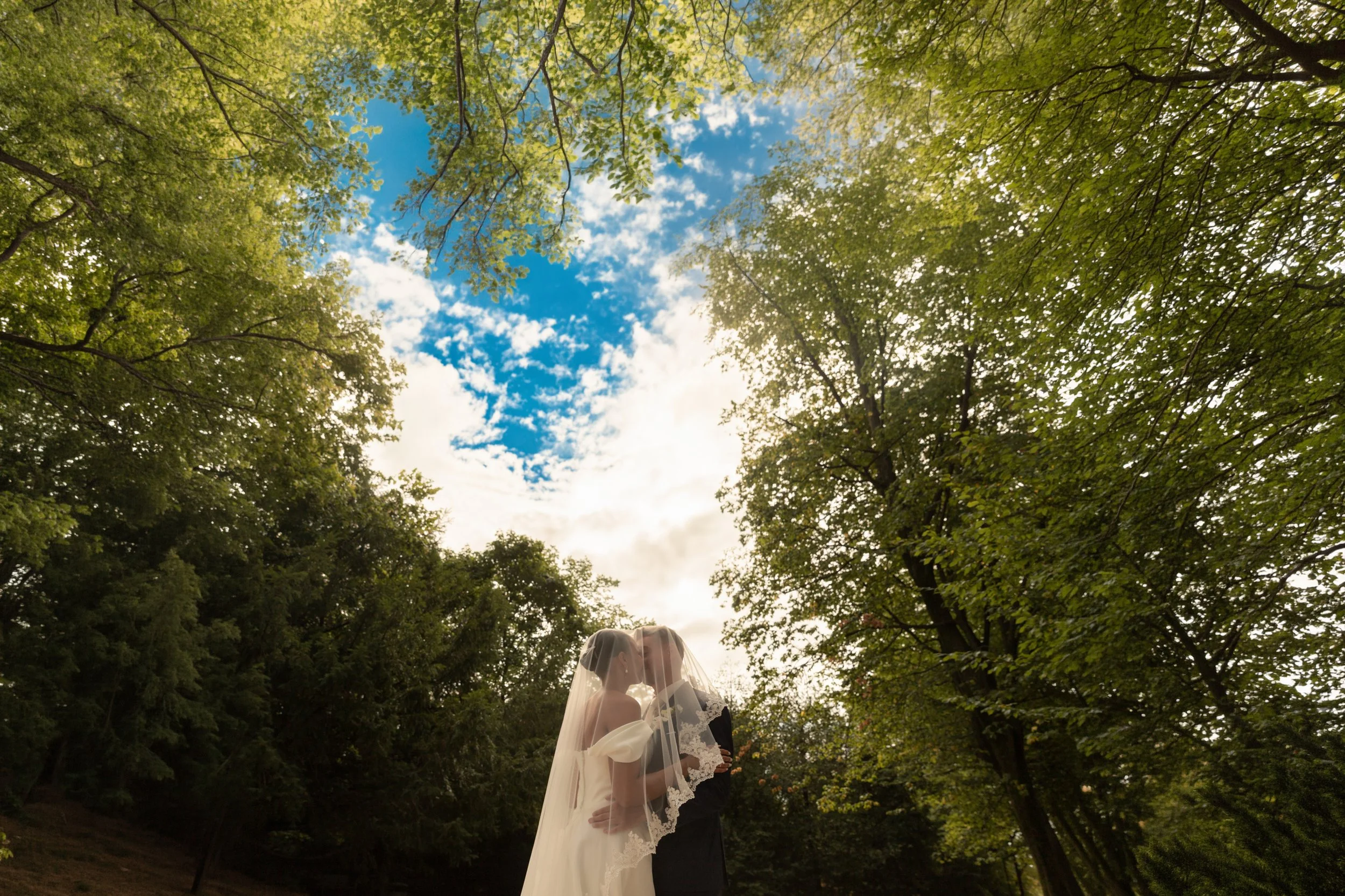 Ein Brautpaar küsst sich unter einem Baum im Freien, die Wasch trägt einen Schleier, im Hintergrund blauer Himmel mit Wolken.