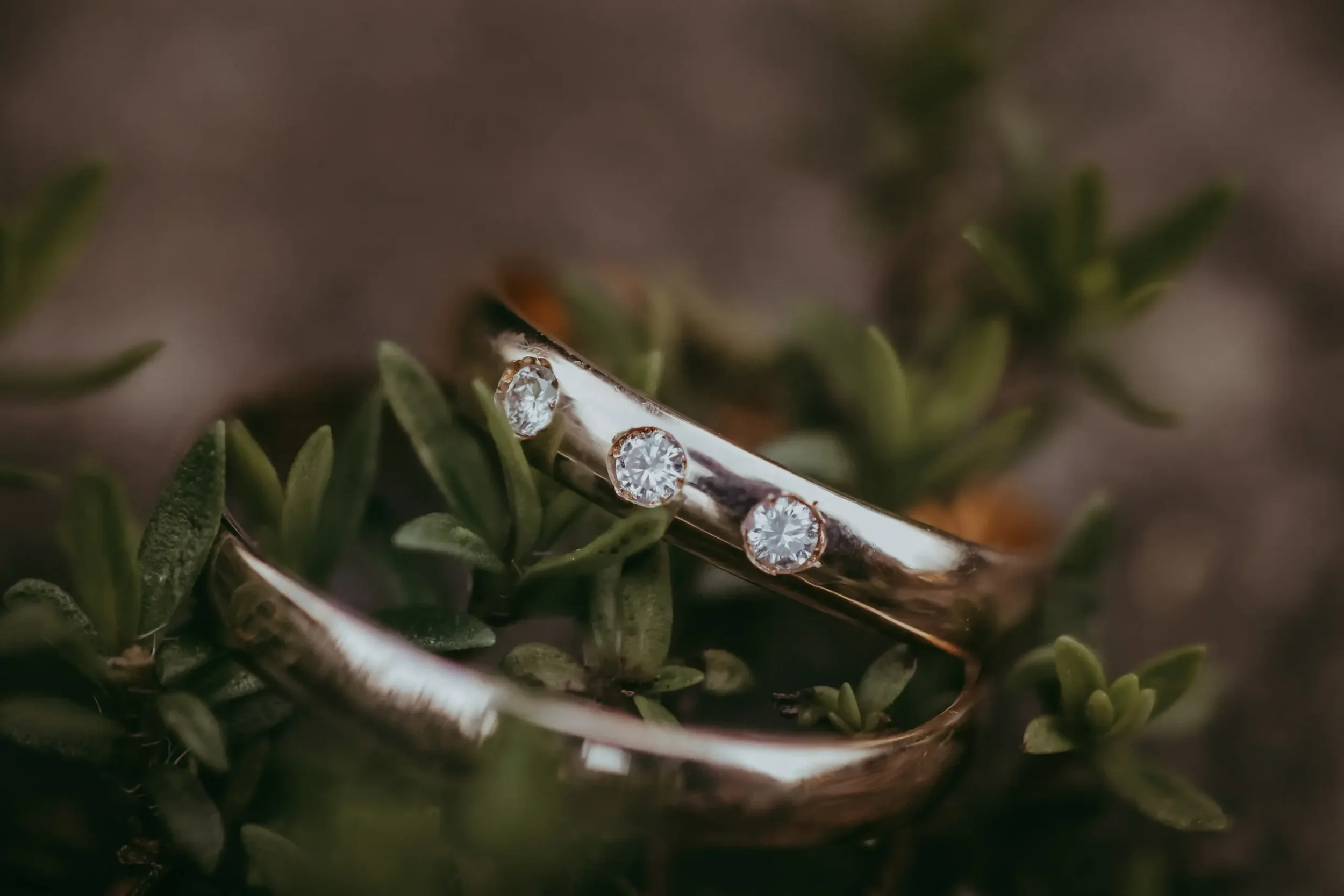 Nahaufnahme eines Rings mit mehreren Diamanten auf grünen Pflanzen und Tautropfen