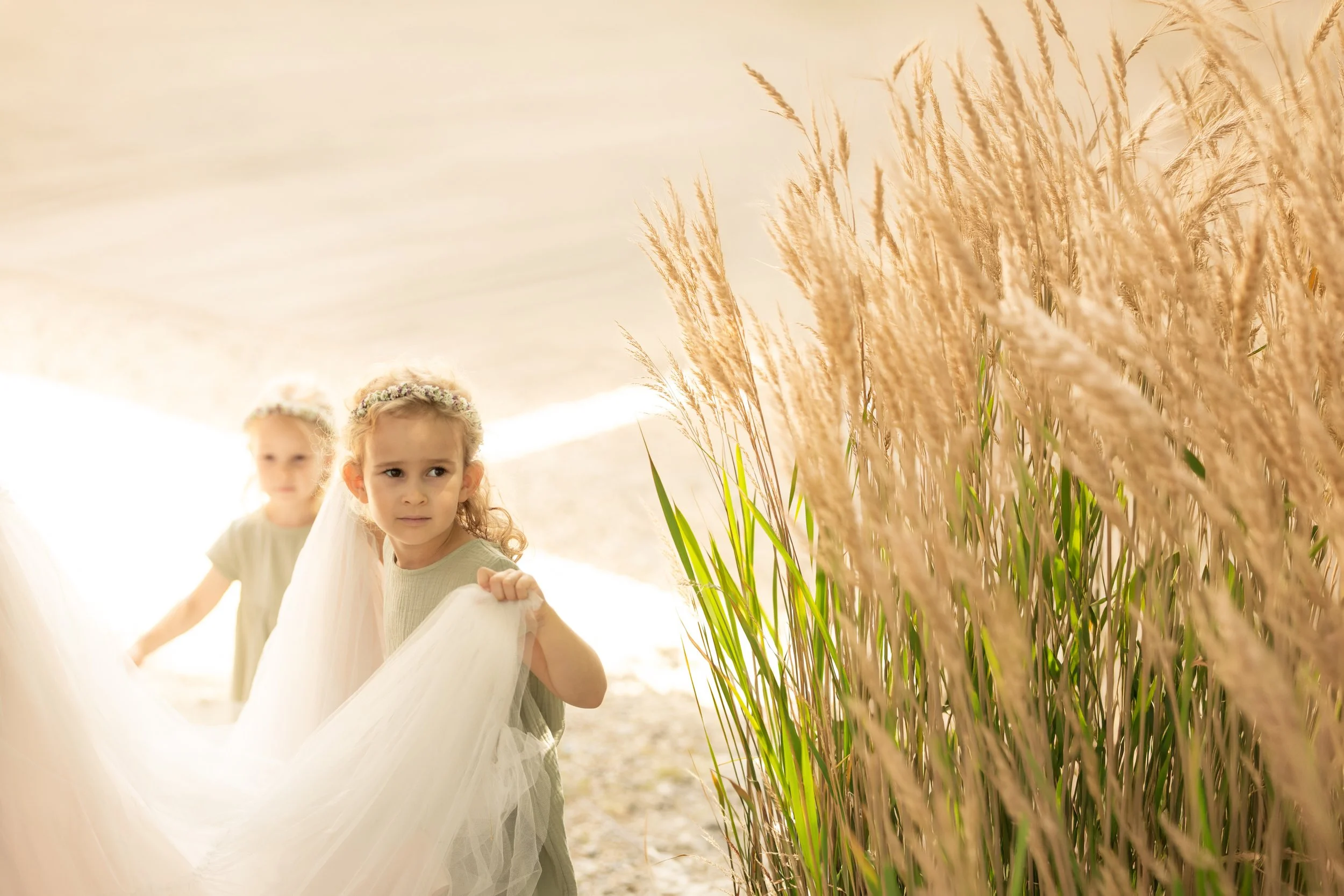 Zwei kleine Mädchen, wahrscheinlich eine Braut, in einem weißen Kleid mit Blumenkränzen im Haar, die durch hohe Gräser in einem Feld gehen, bei Sonnenuntergang oder -aufgang.