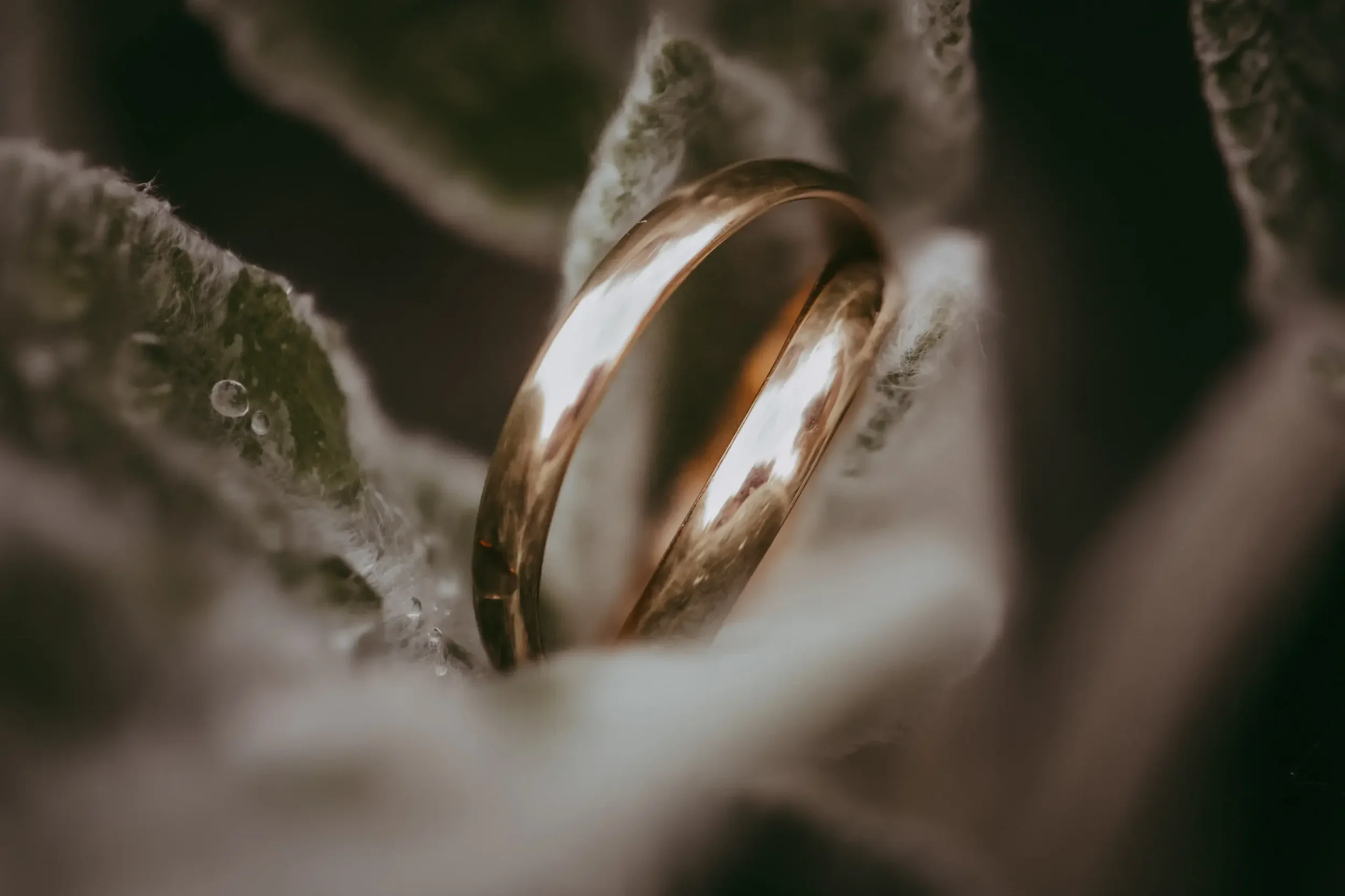 Nahaufnahme einer goldenen Ehering, der in Wasser liegt, umgeben von Seifenblasen.