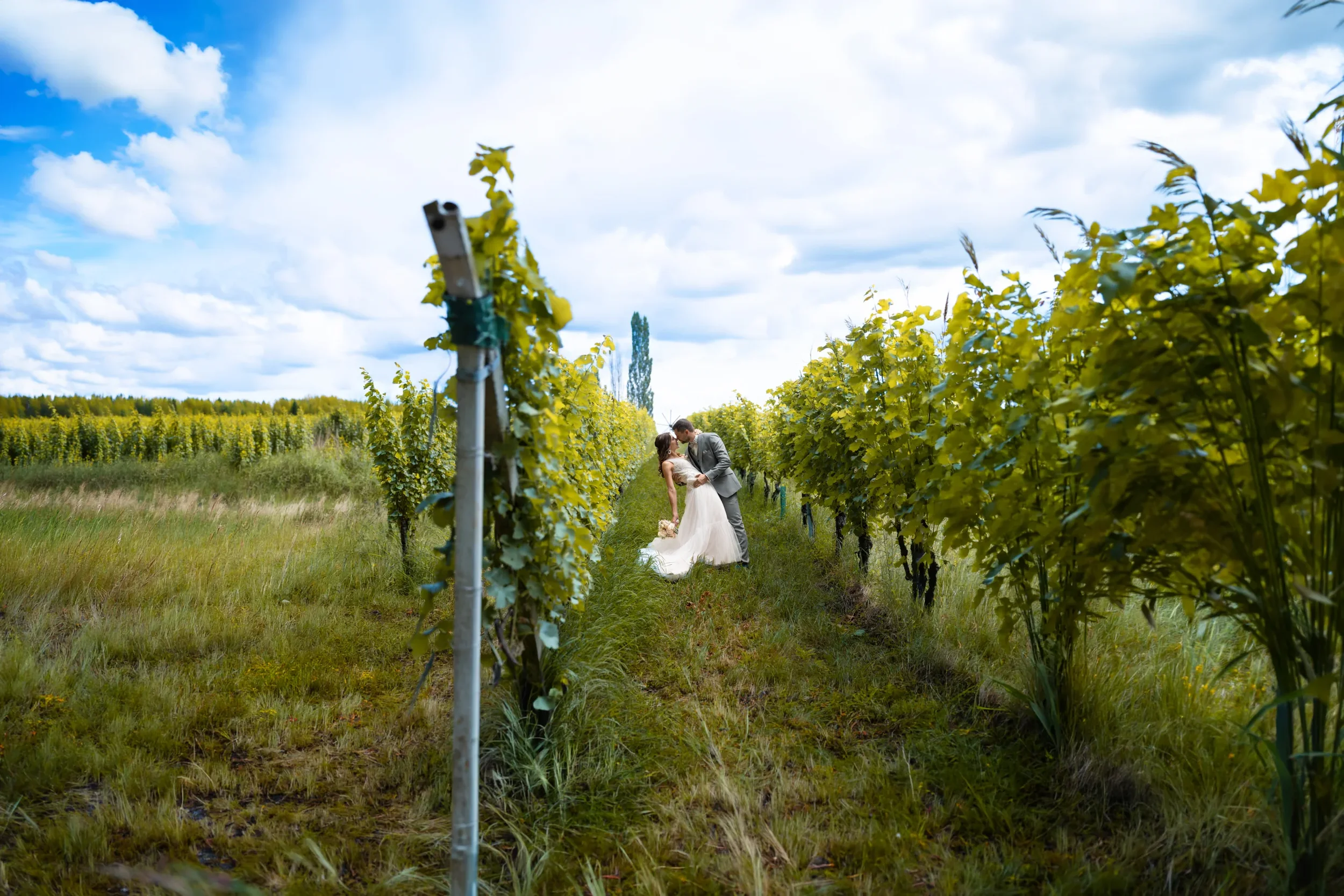 Brautpaar im Weinberg
