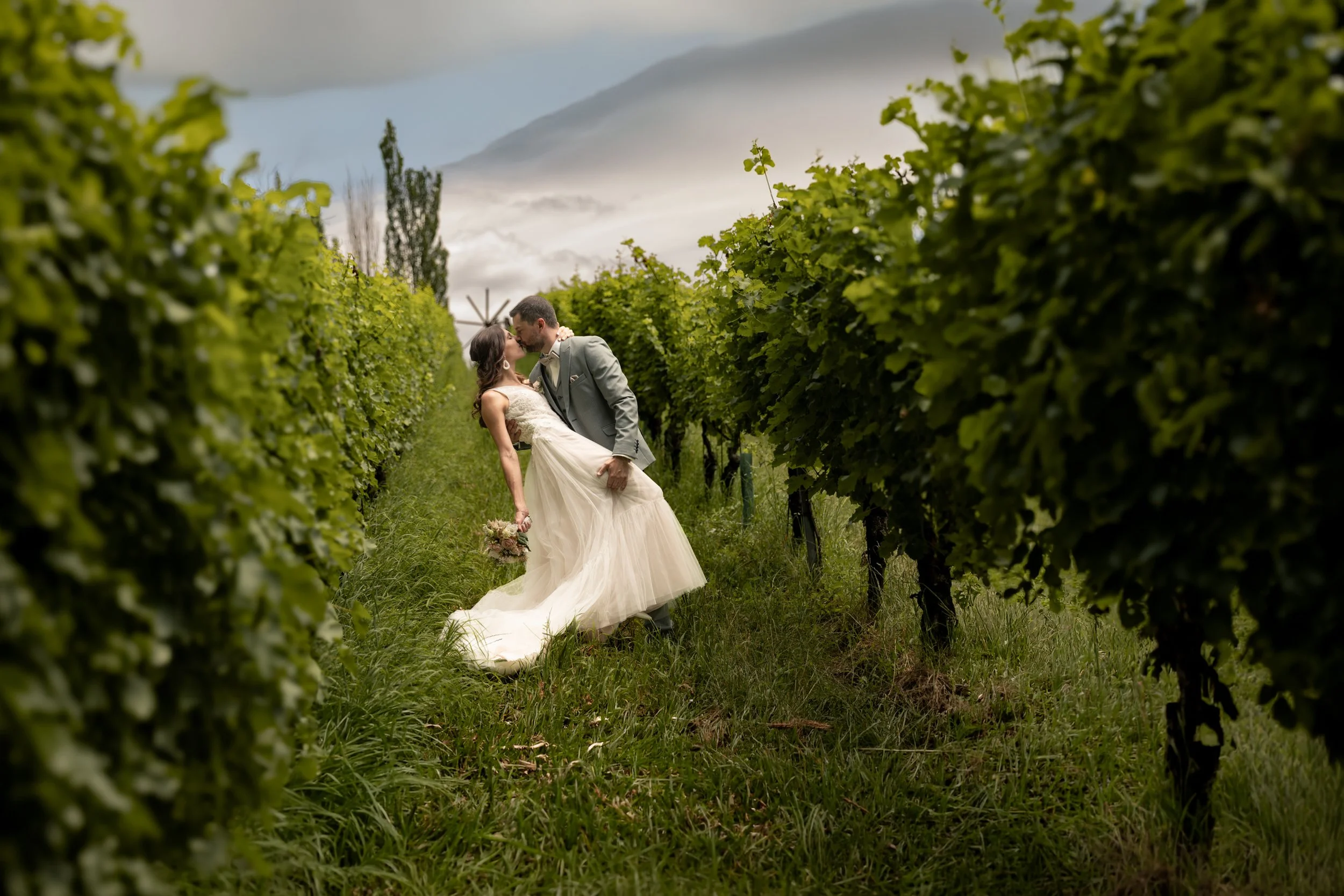 Ein Brautpaar küsst sich in einem Weinberg, umgeben von grünen Reben und wolkigem Himmel.