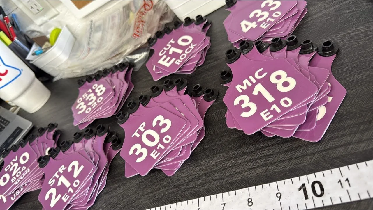Multiple purple plastic signs with white text reading 'TR 21X2 E-10', 'MIC 318 E-10', and 'CUT E10 ROCK' are arranged on a dark table. Some signs have black plastic clips attached at the top. Various office supplies and a white container are visible in the background.