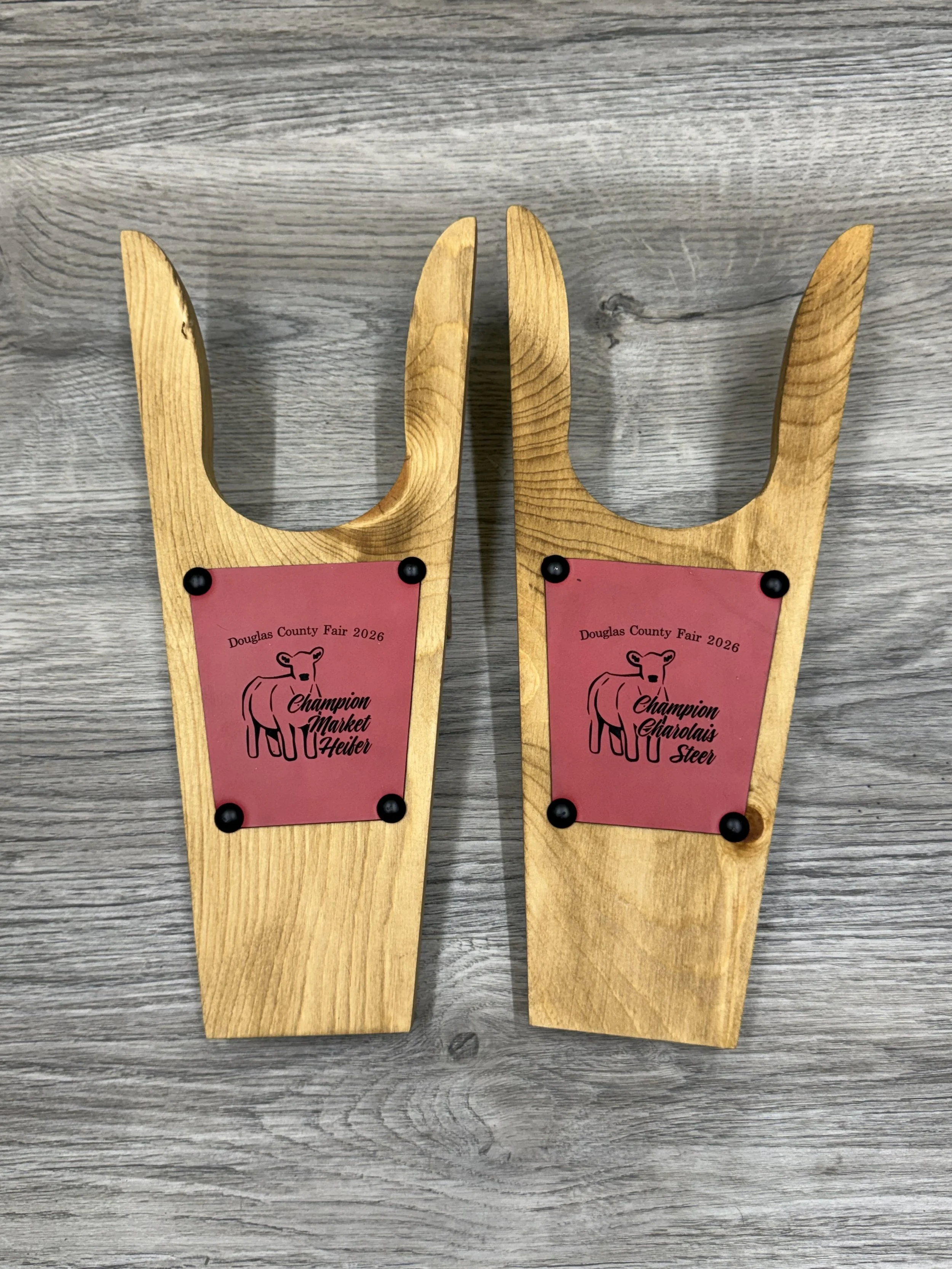 Two wooden awards with pink plaques and black screws, engraved with a cow illustration and text, placed on a gray wooden surface.