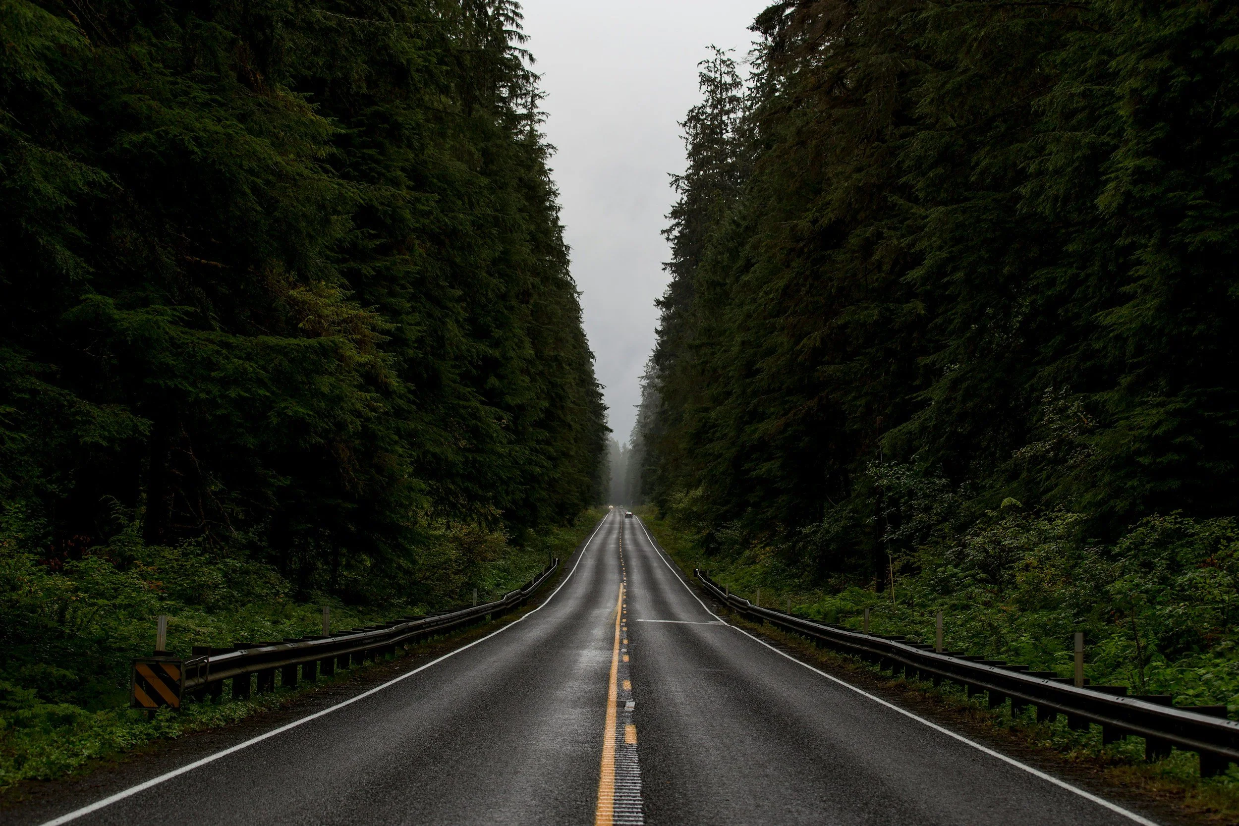 A two-lane road running through a dense forest with tall trees on both sides, the road is wet and slightly curving, under an overcast sky.
