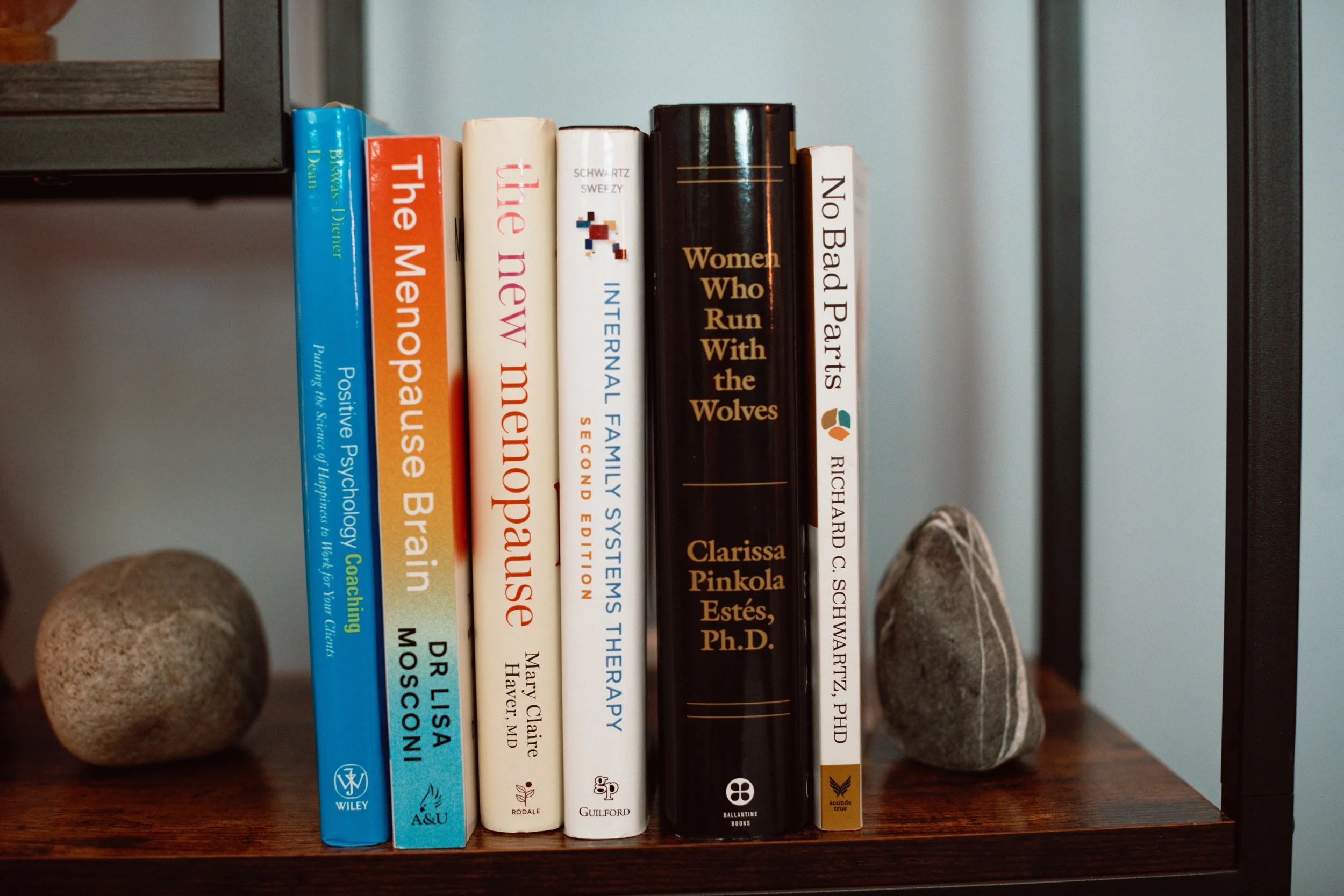 A row of seven books on a wooden shelf, with two decorative stones on either side, against a blue wall.