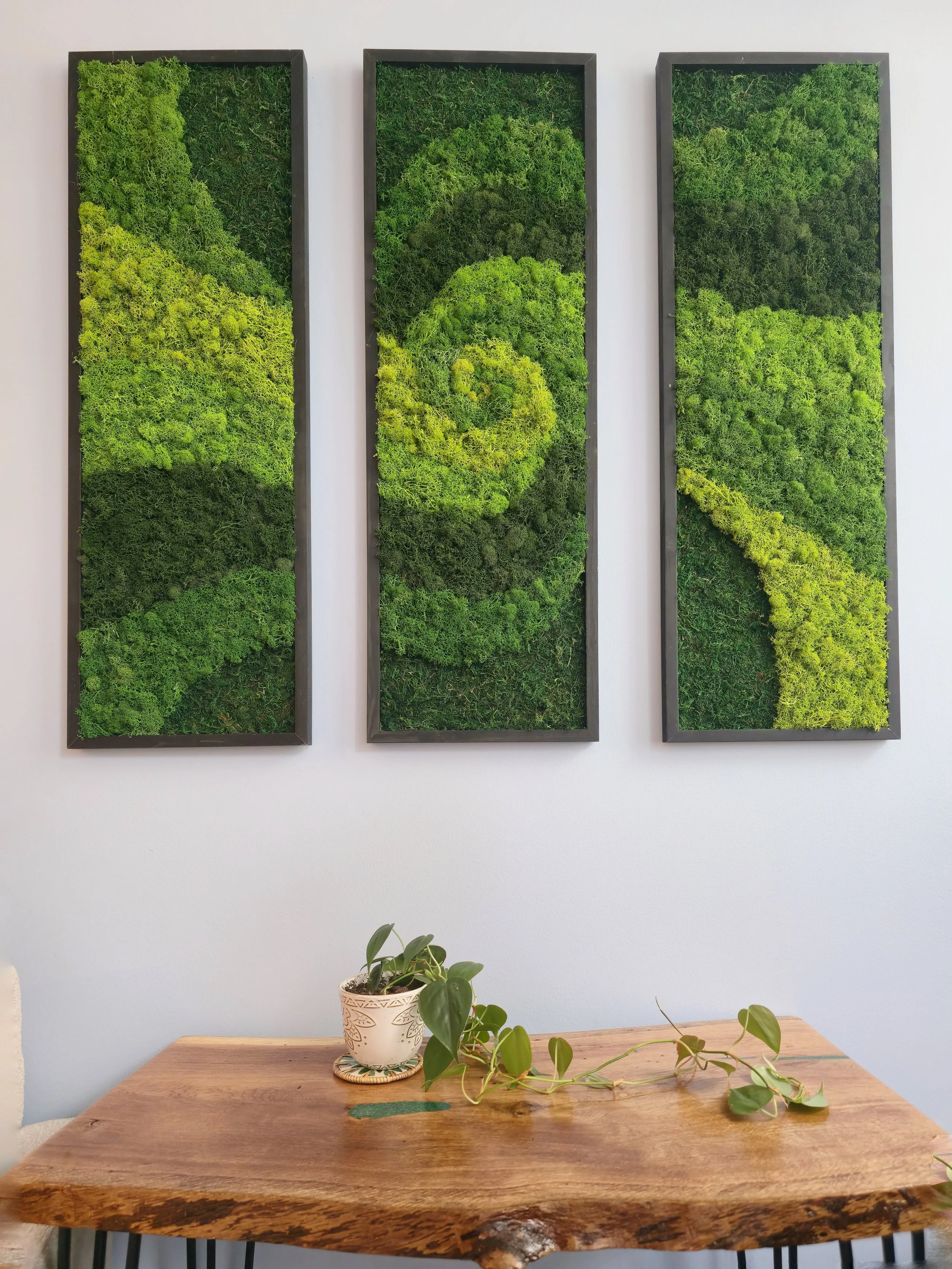Three framed green moss art pieces hanging on a white wall above a wooden table with potted plants.