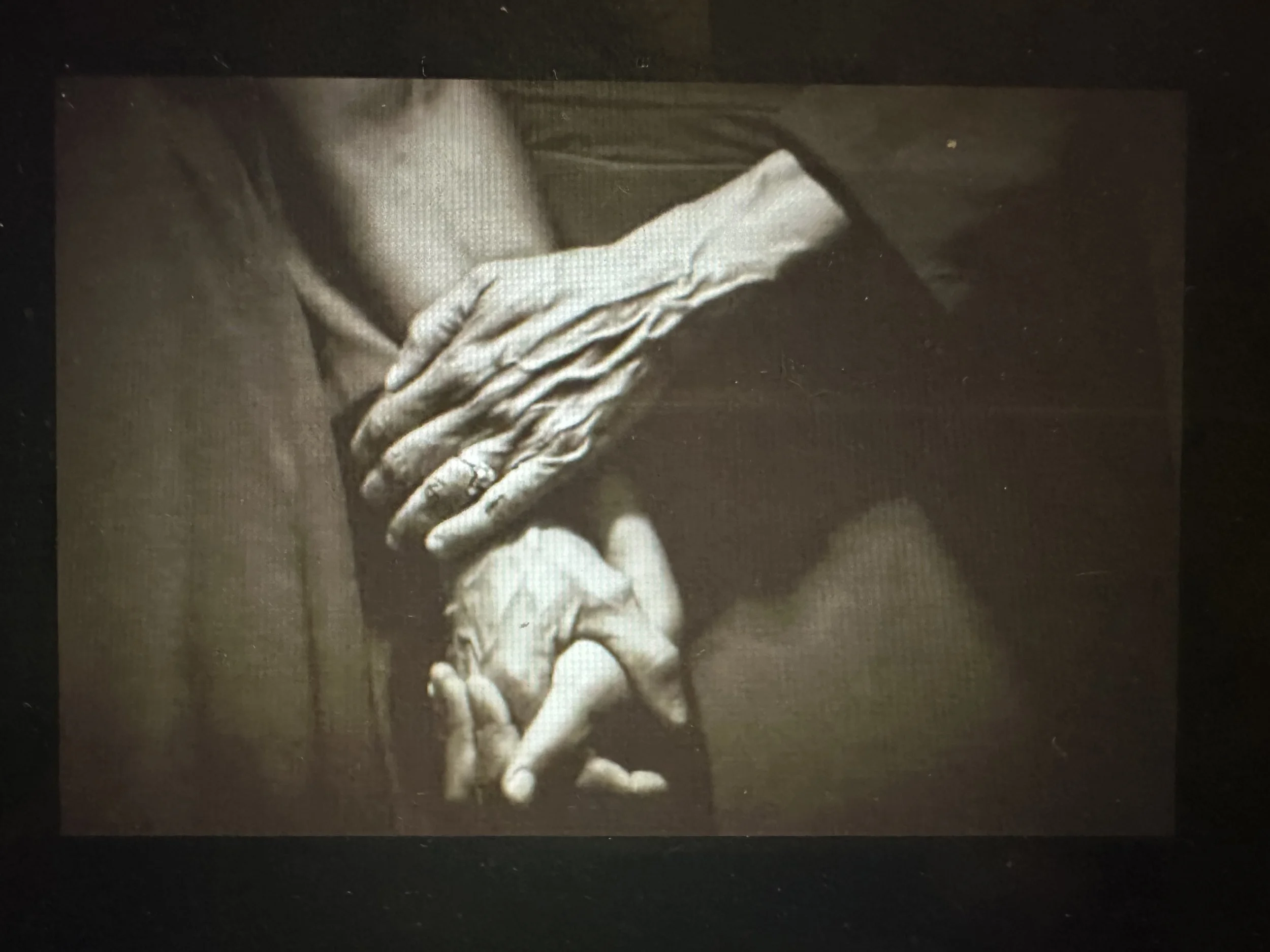 Nikky Finney & Tonia Poteat holding hands. 