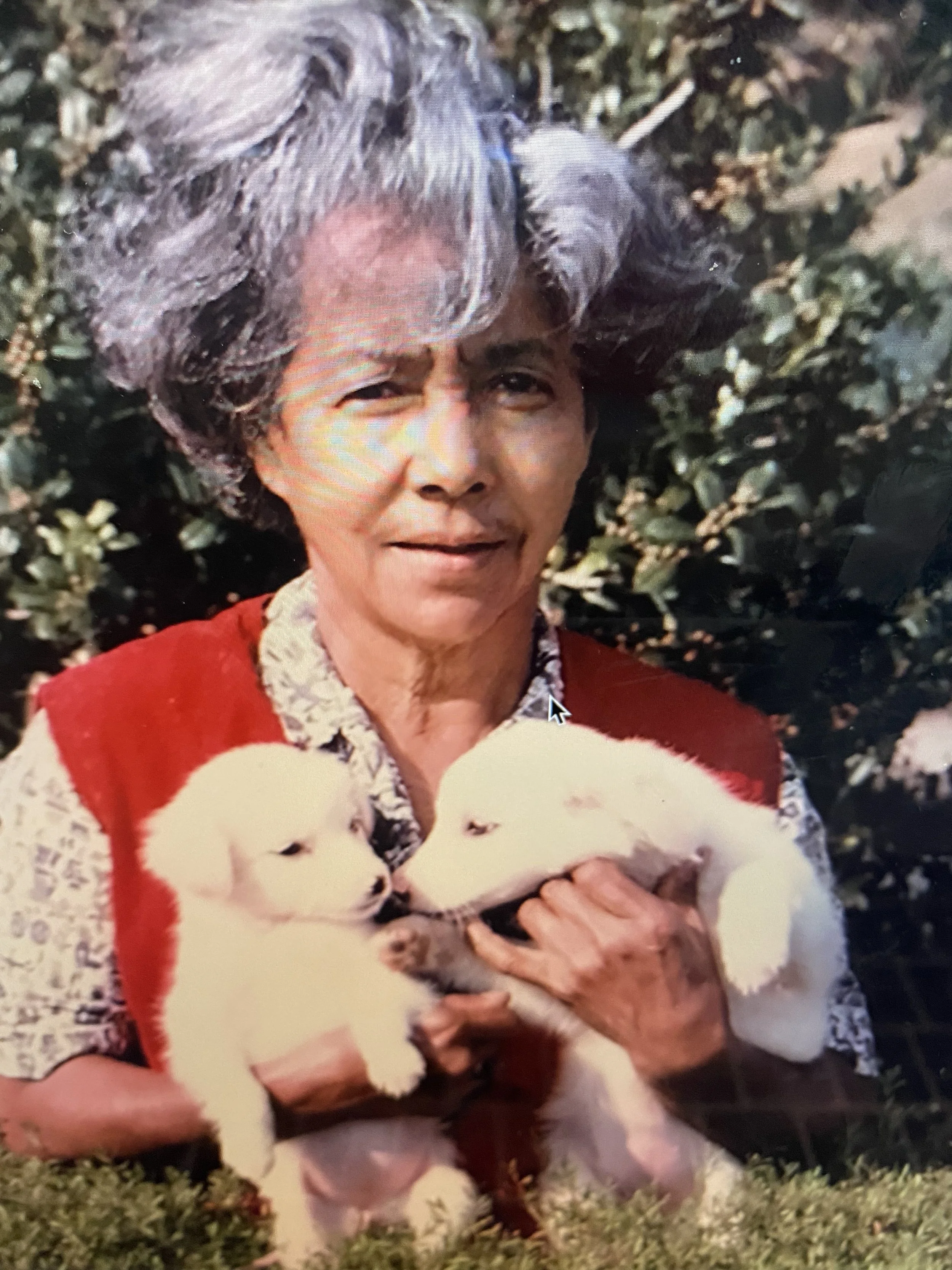 An elderly woman with gray hair wearing a patterned blouse and red vest holding a black and white kitten outdoors on grass with bushes in the background.