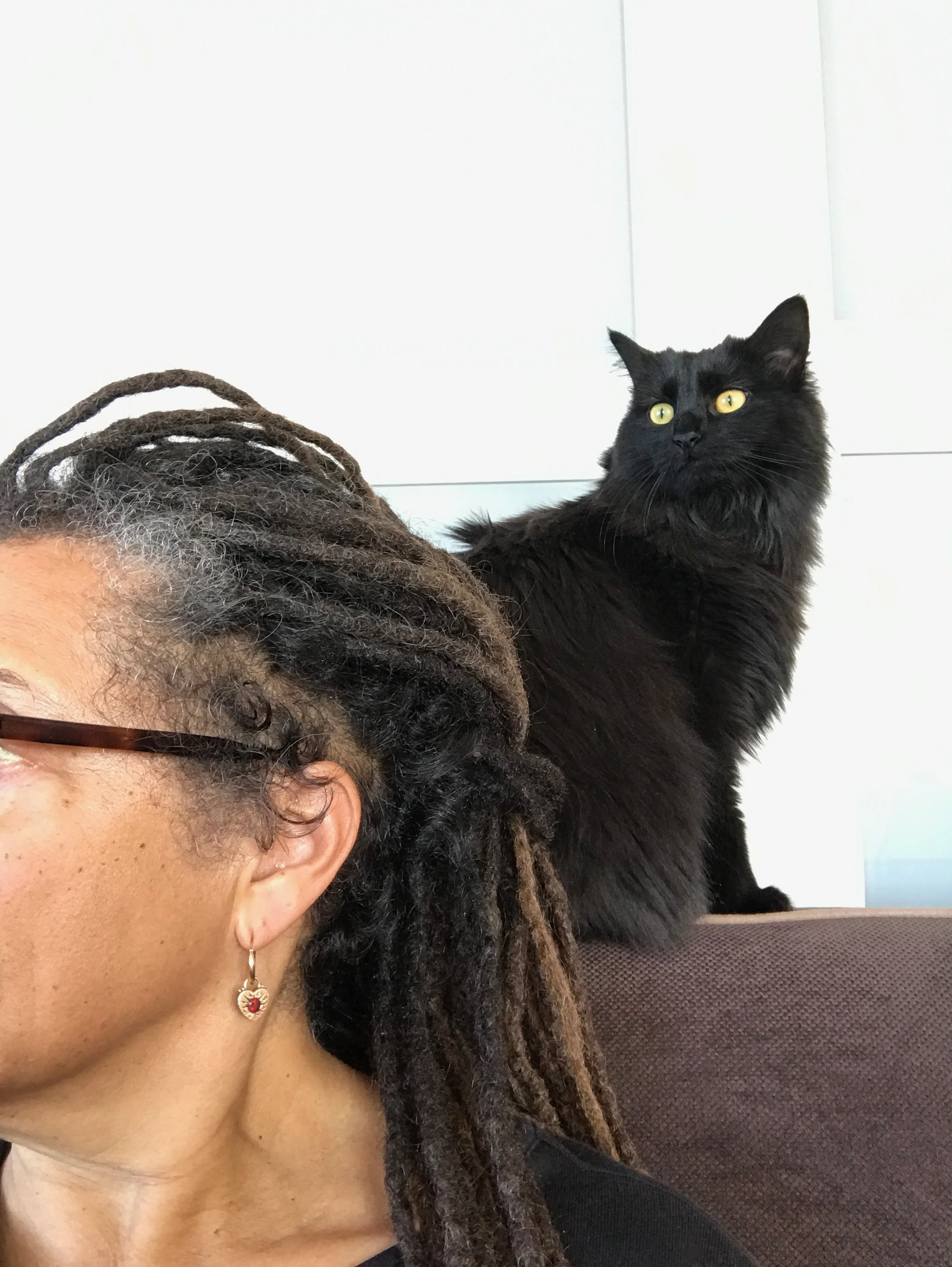 A person with dreadlocks and glasses sitting next to a black cat with yellow eyes on their shoulder, with a white background.