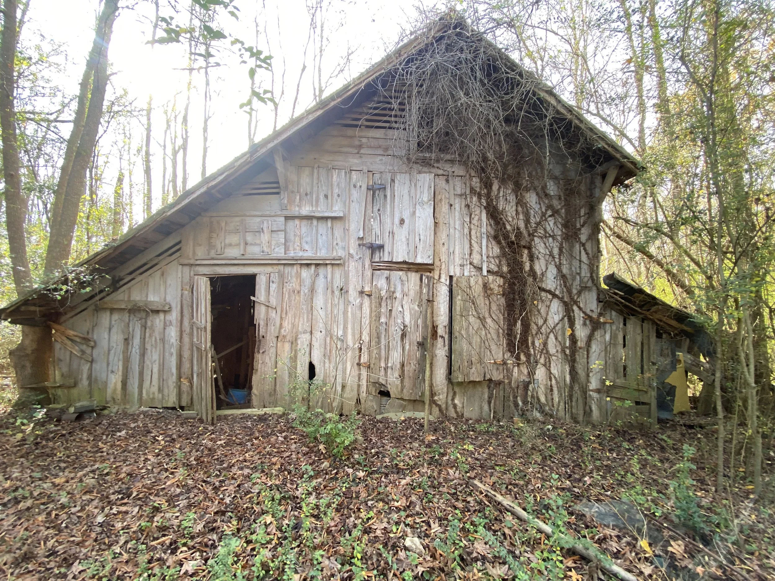 An old, weathered wooden barn surrounded by trees and fallen leaves in a wooded area.