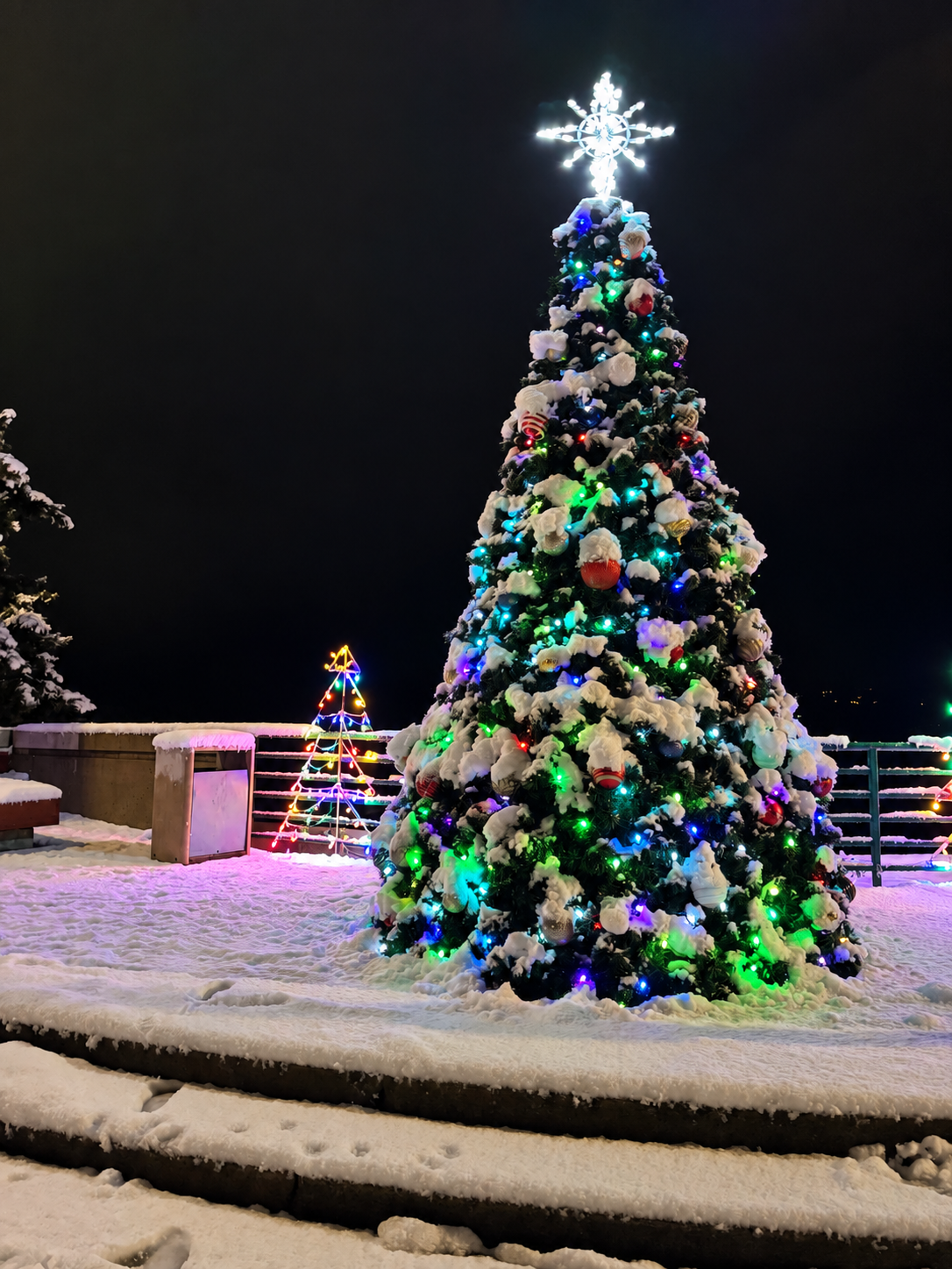 manson-washington-christmas-tree-lake-chelan.jpg.png