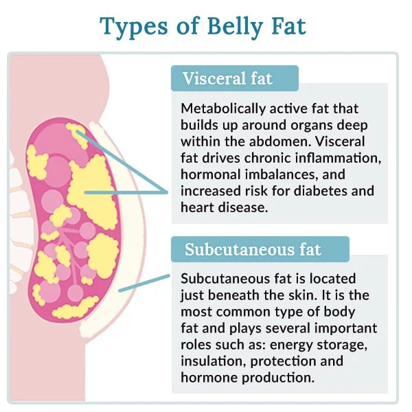 belly-fat-1.jpg
