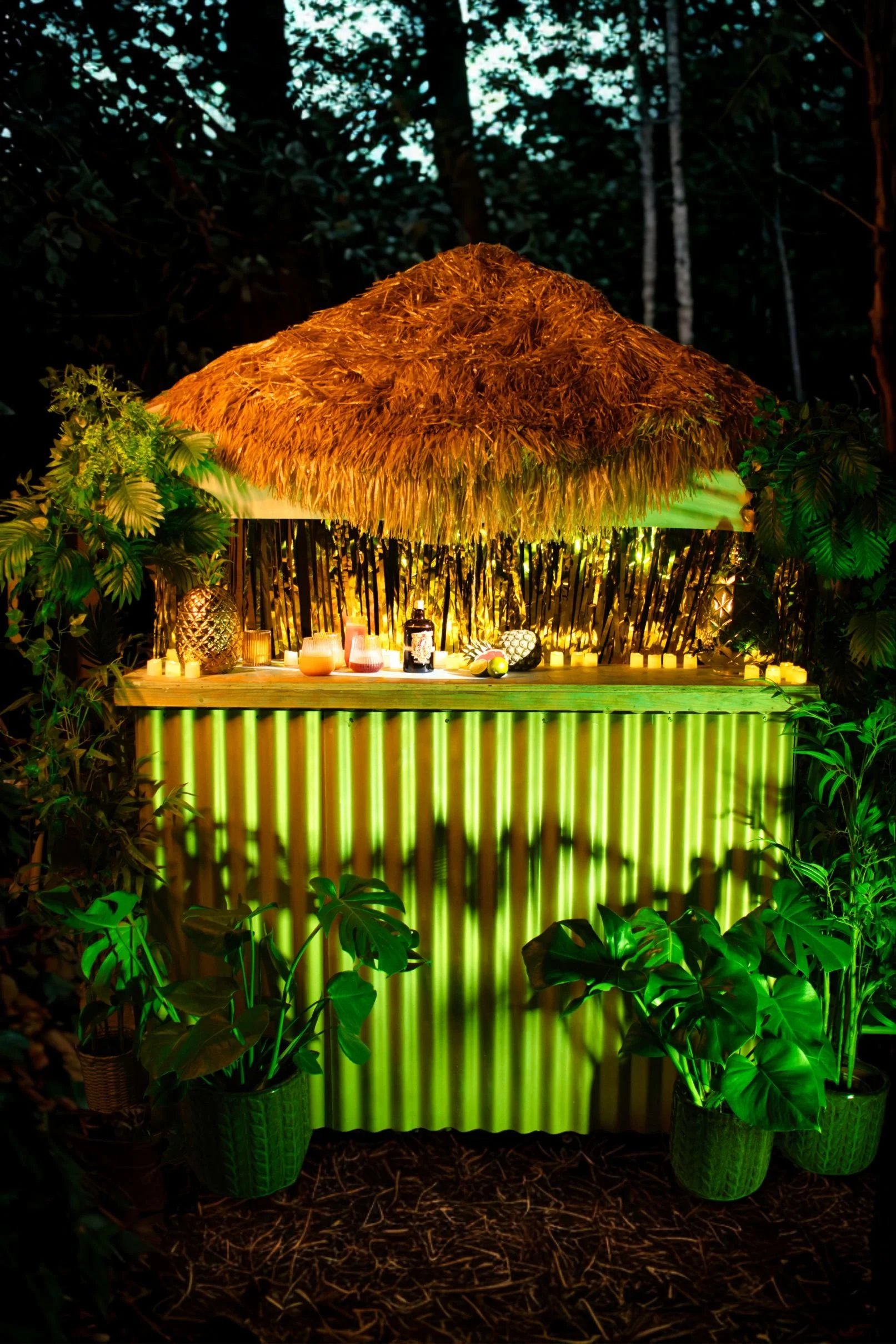 cute rum shack bar with gold corrugated front and raffia roof large potted monstera plants either side foliage dressing up the sides of bar