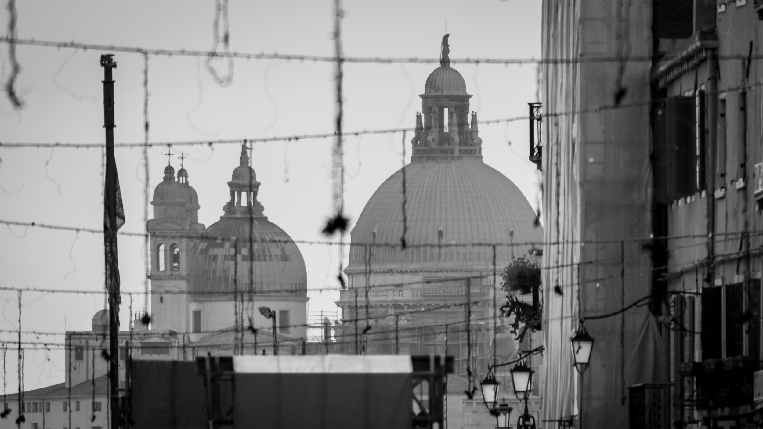 Church Domes through Christmas lights in Venice
