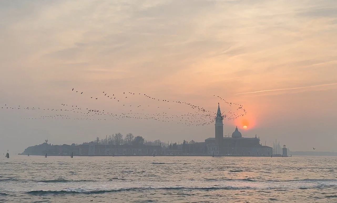February Sunset geese flying over St Mark's Basin, Venice