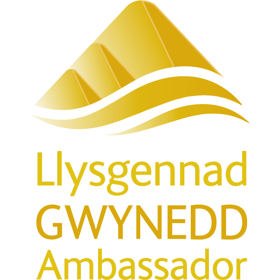Gwynedd Ambassador Gold Badge