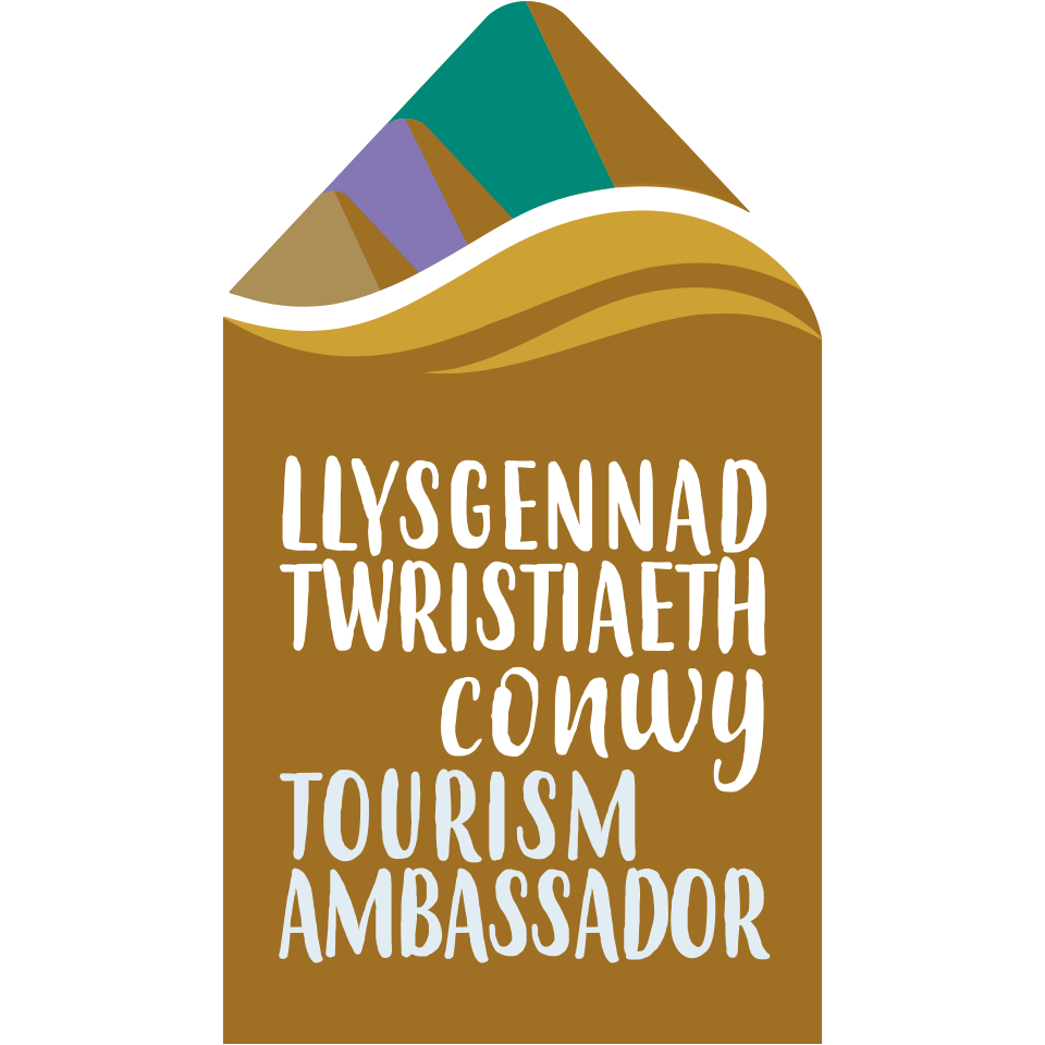 Conwy Ambassador Gold Badge