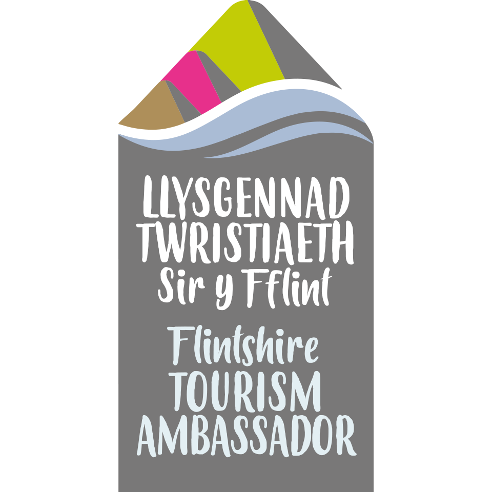 Flintshire Ambassador Silver Badge