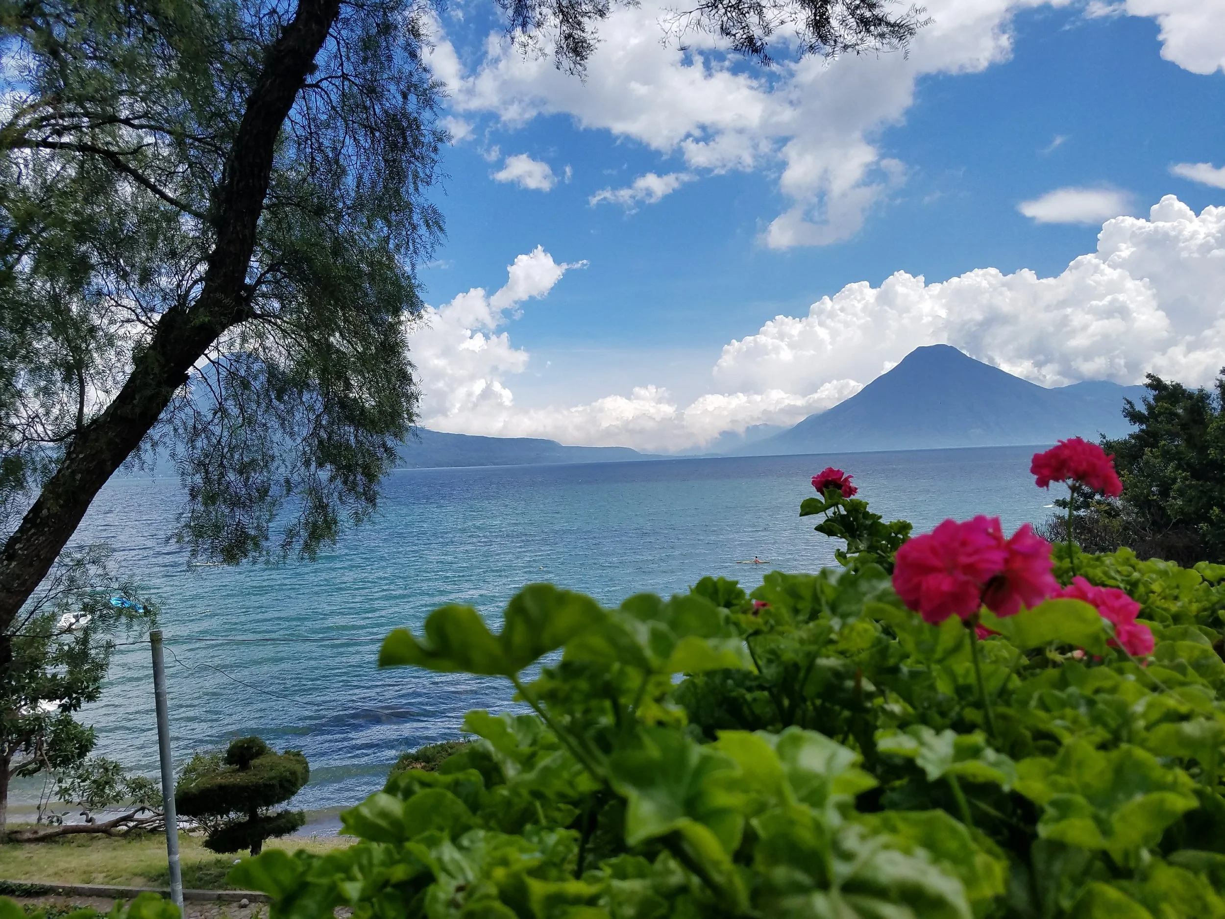 20170708_134749.jpg